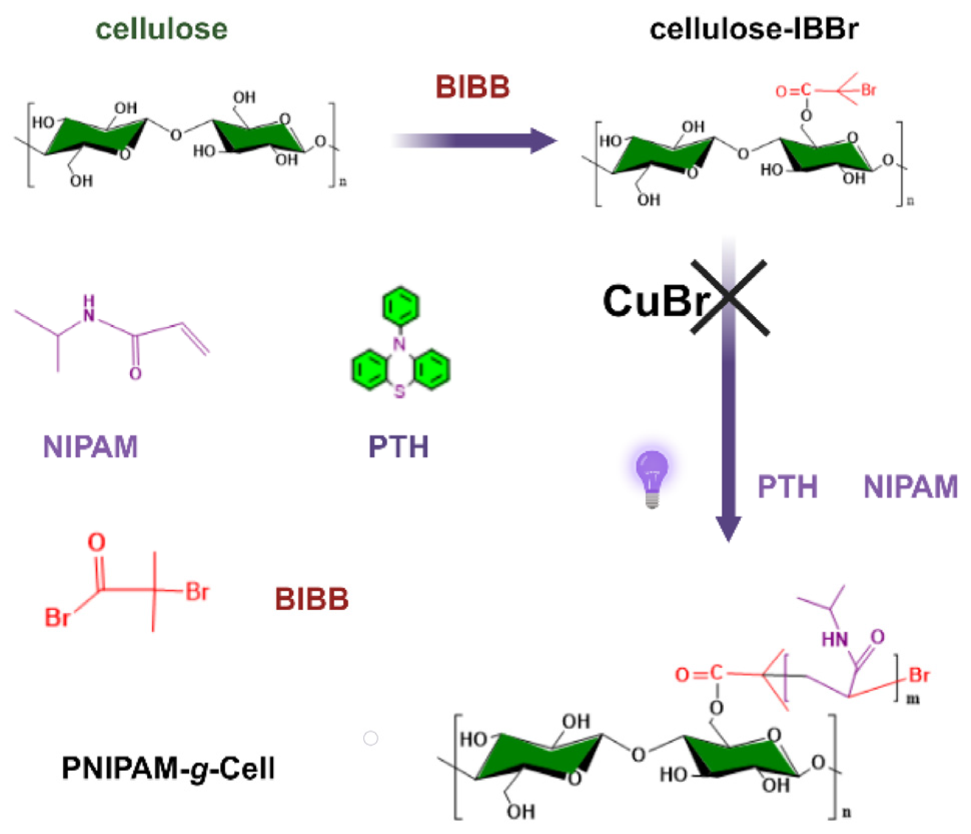 Ijms 25 02867 sch001