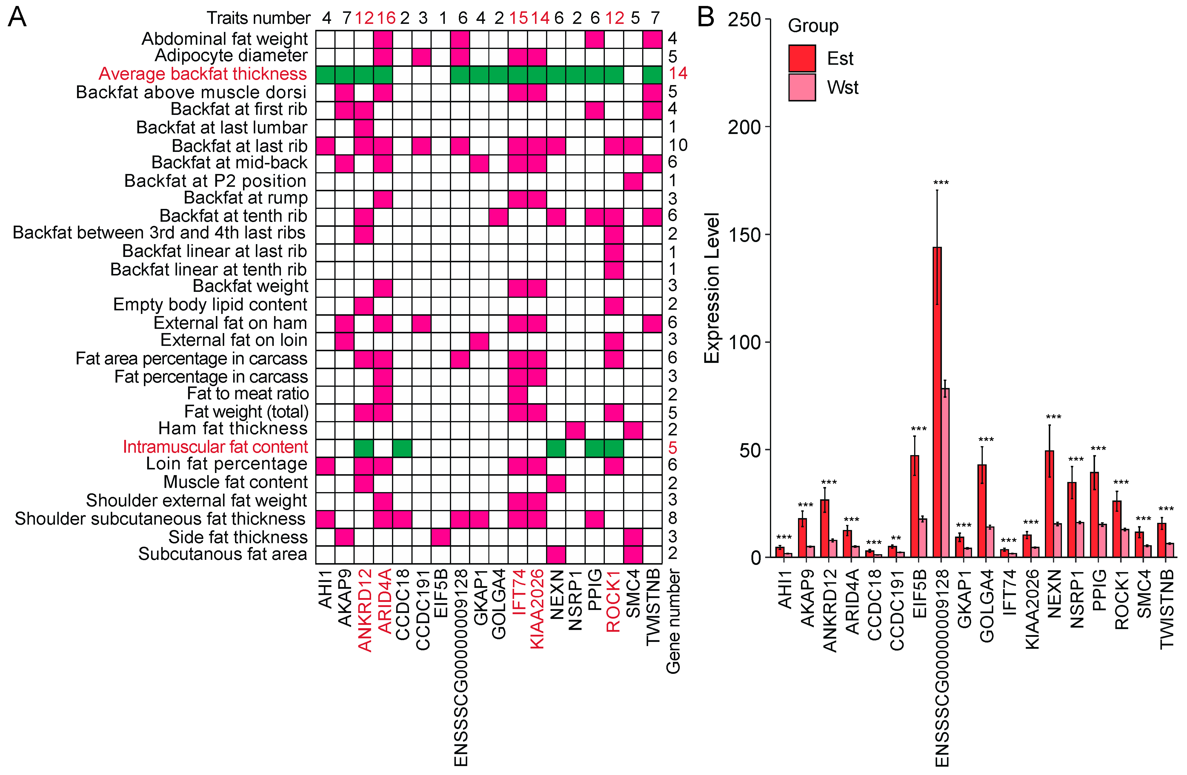 Ijms 25 02874 g006 Ijms 25 02874 g006