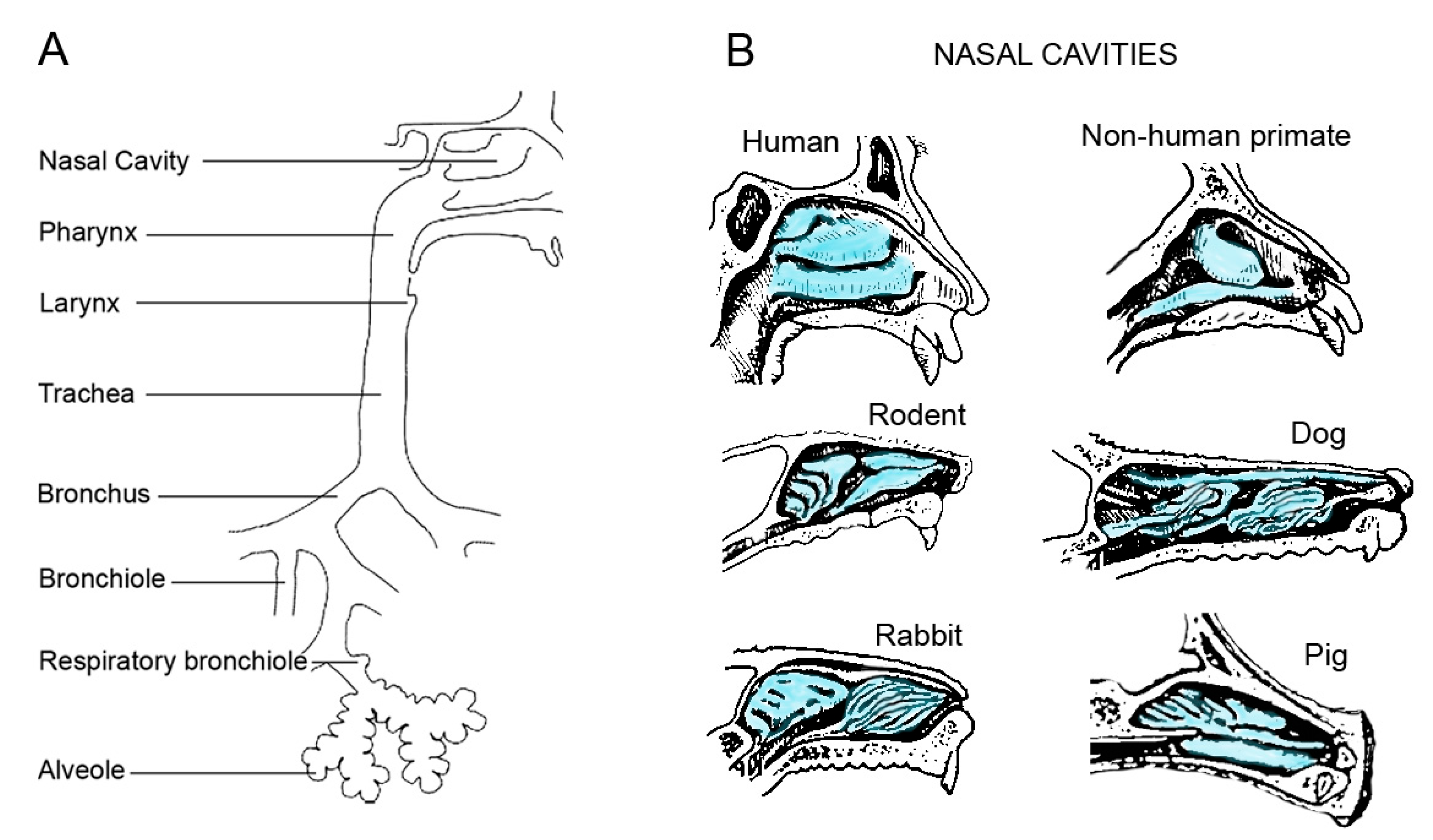 Ijms 25 02903 g002 Ijms 25 02903 g002