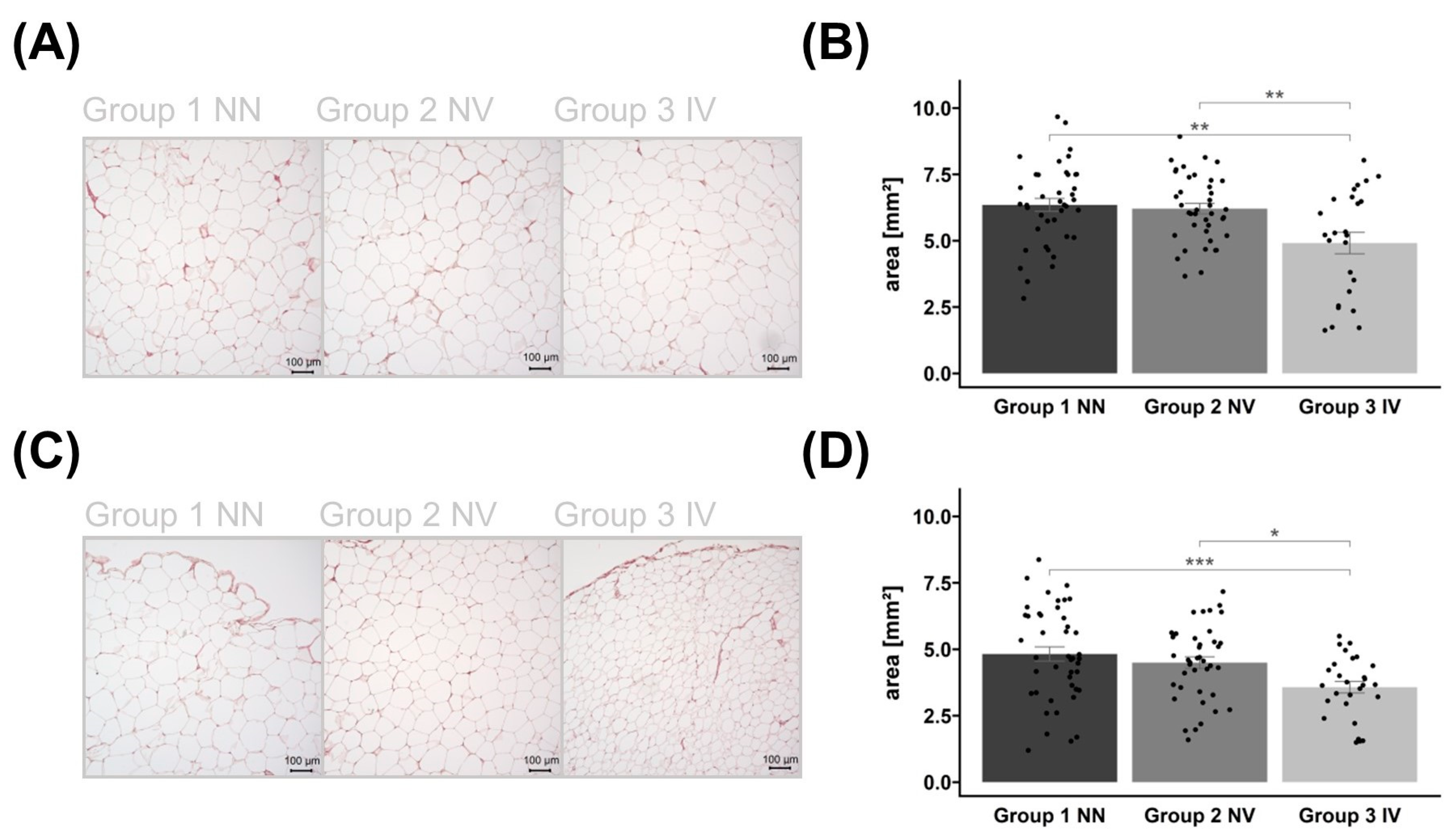 Ijms 25 02908 g002 Ijms 25 02908 g002