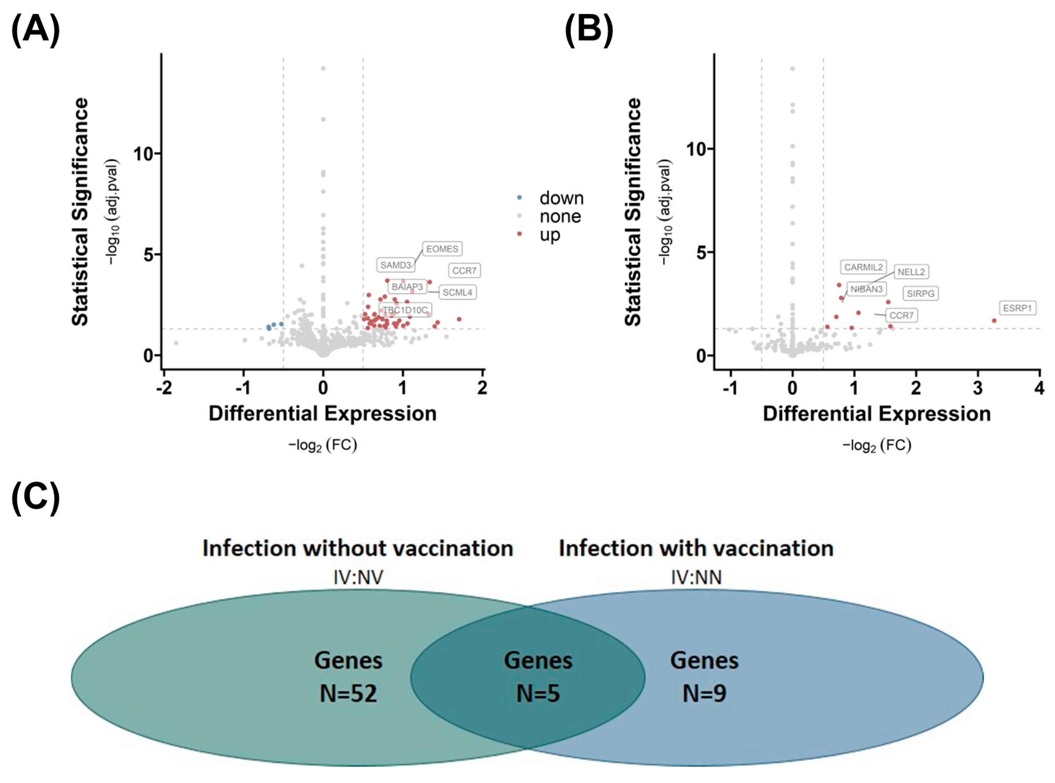 Ijms 25 02908 g003 Ijms 25 02908 g003
