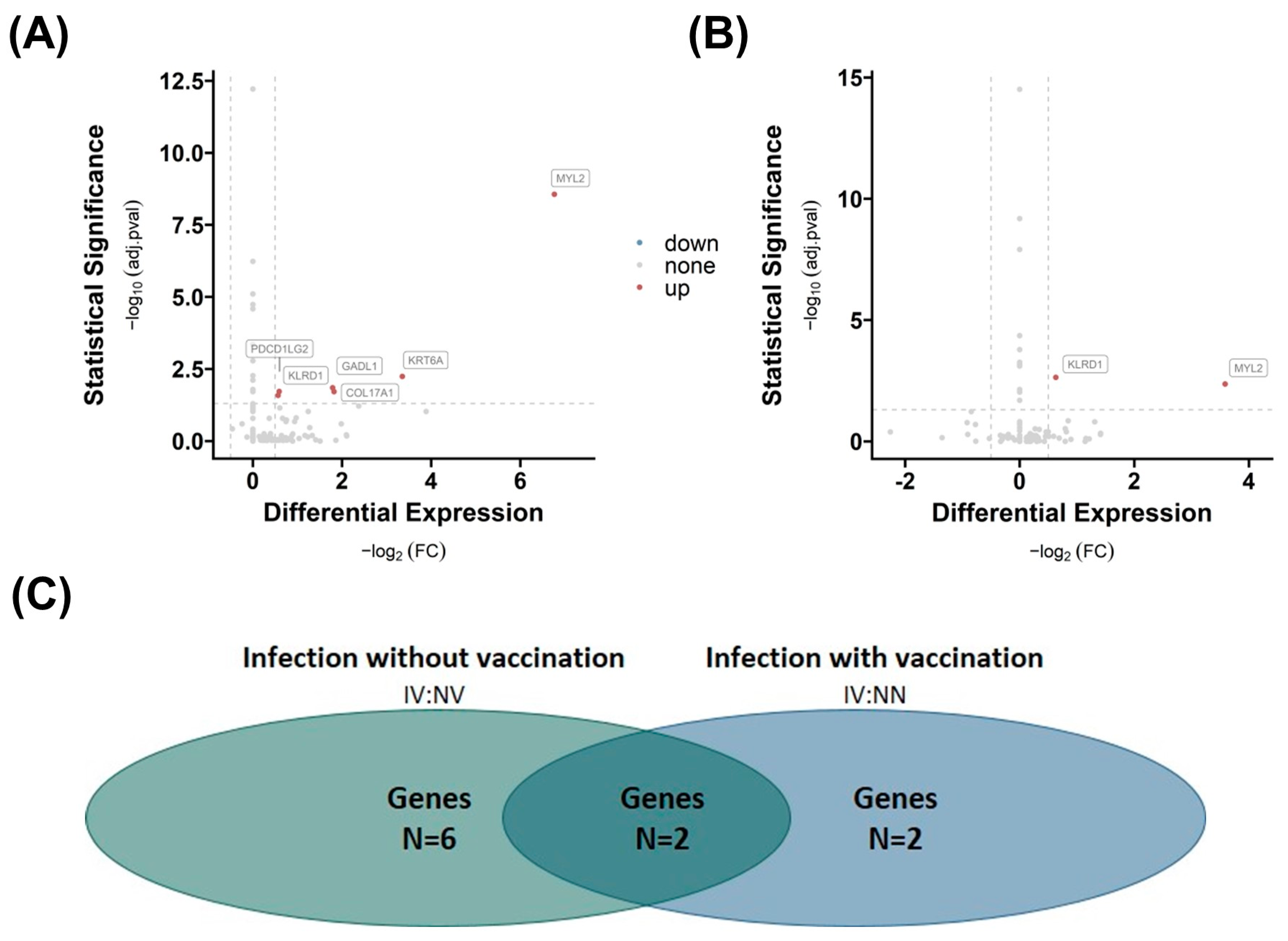 Ijms 25 02908 g004 Ijms 25 02908 g004