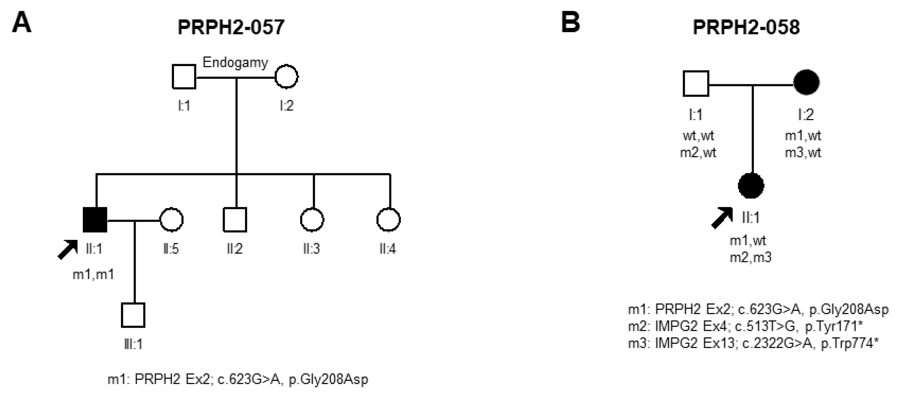 Ijms 25 02913 g003 Ijms 25 02913 g003