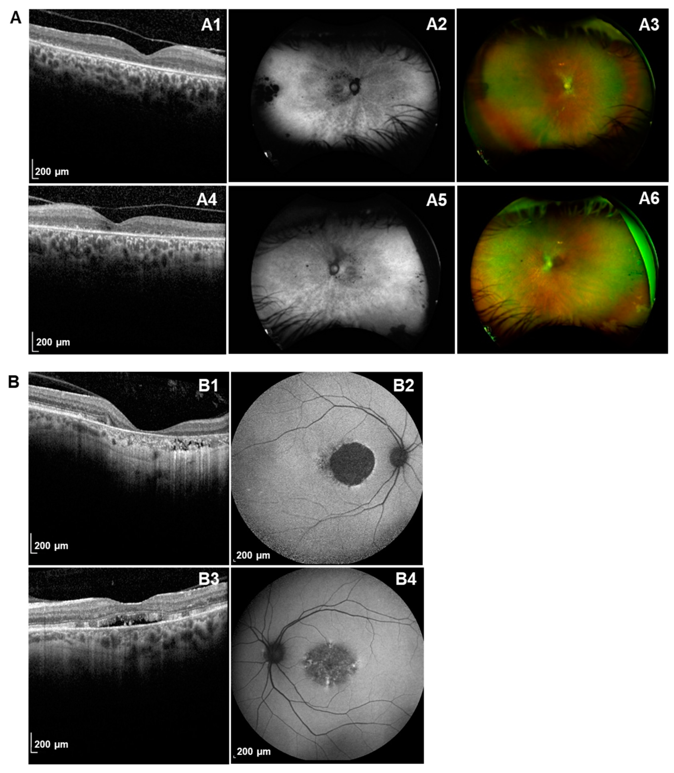 Ijms 25 02913 g004 Ijms 25 02913 g004