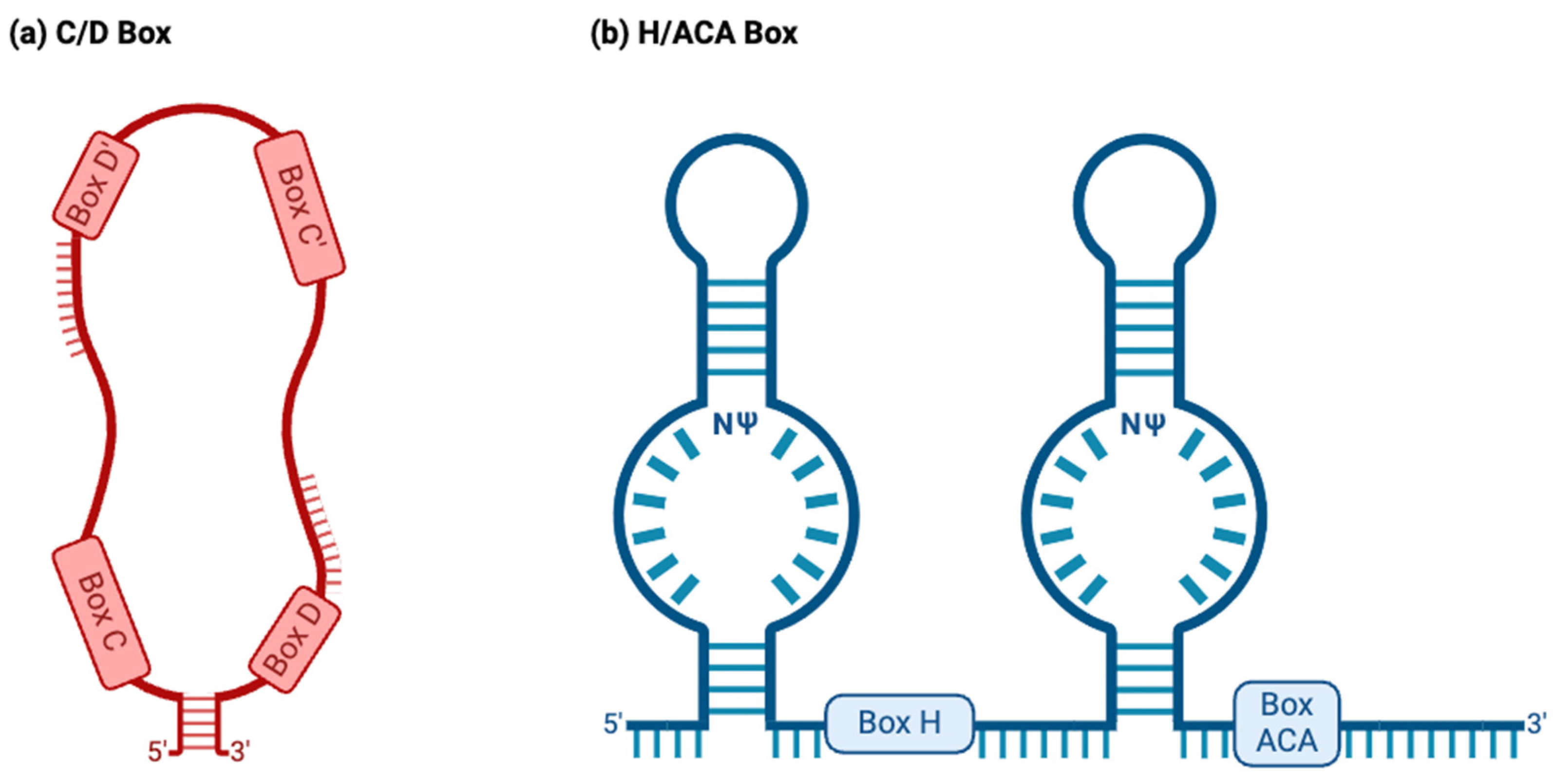 Ijms 25 02923 g002 Ijms 25 02923 g002