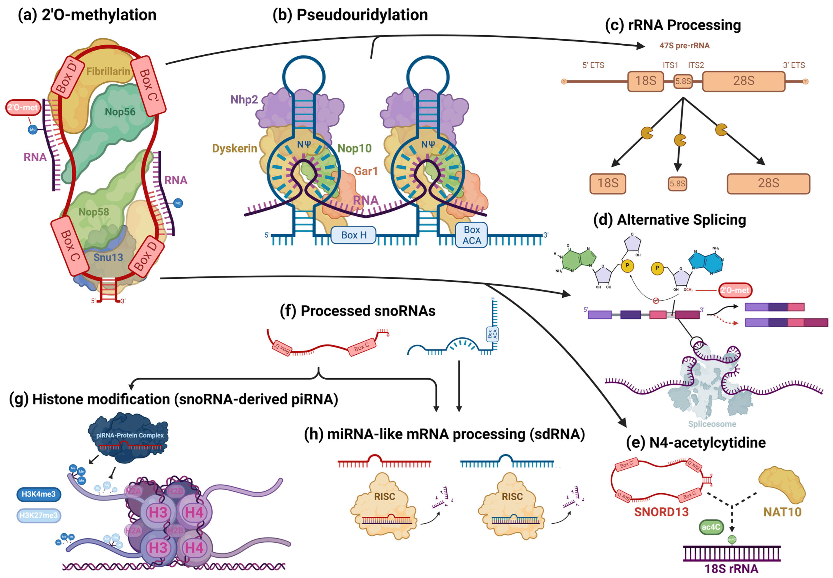 Ijms 25 02923 g003 Ijms 25 02923 g003