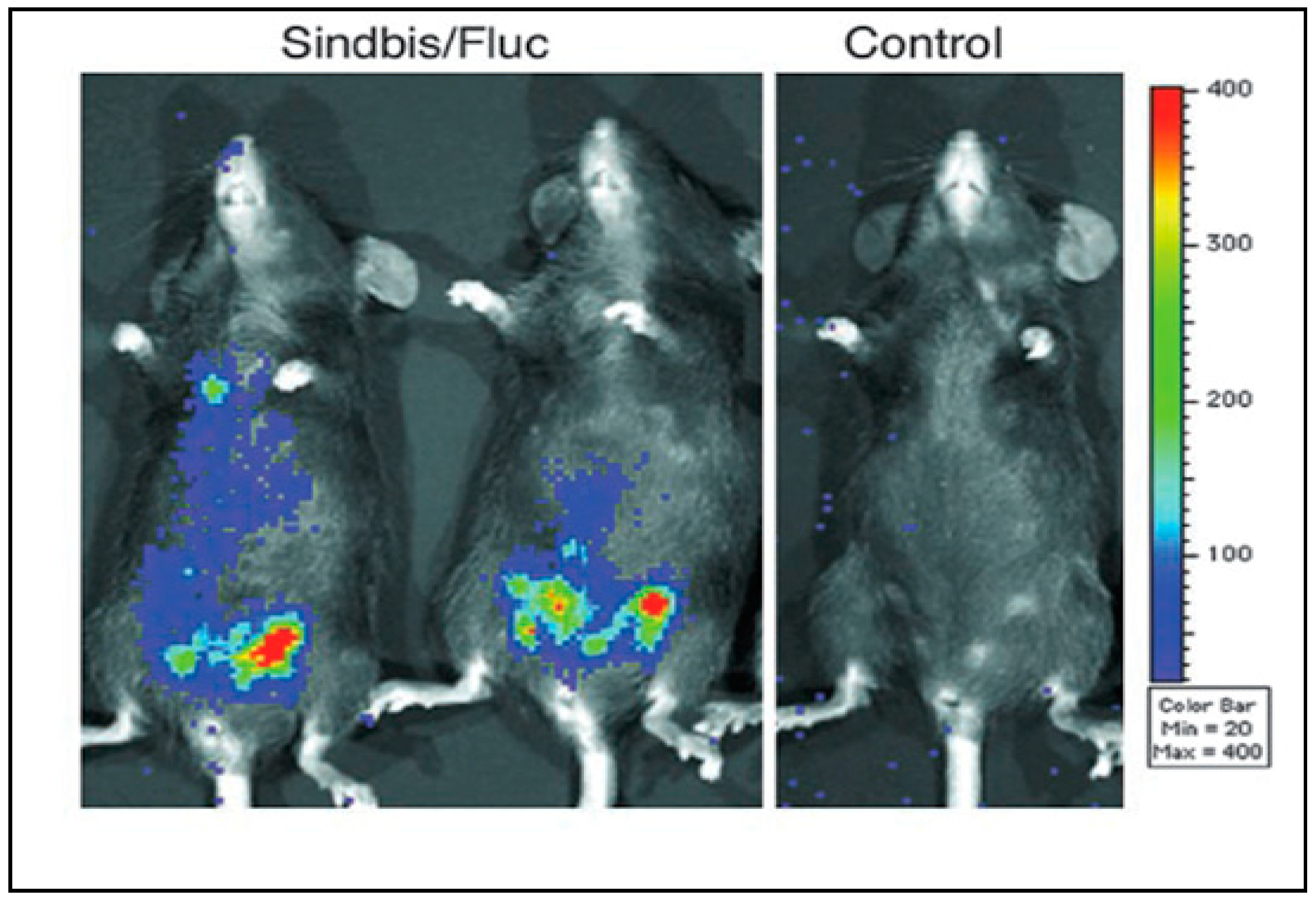 Ijms 25 02925 g002 Ijms 25 02925 g002