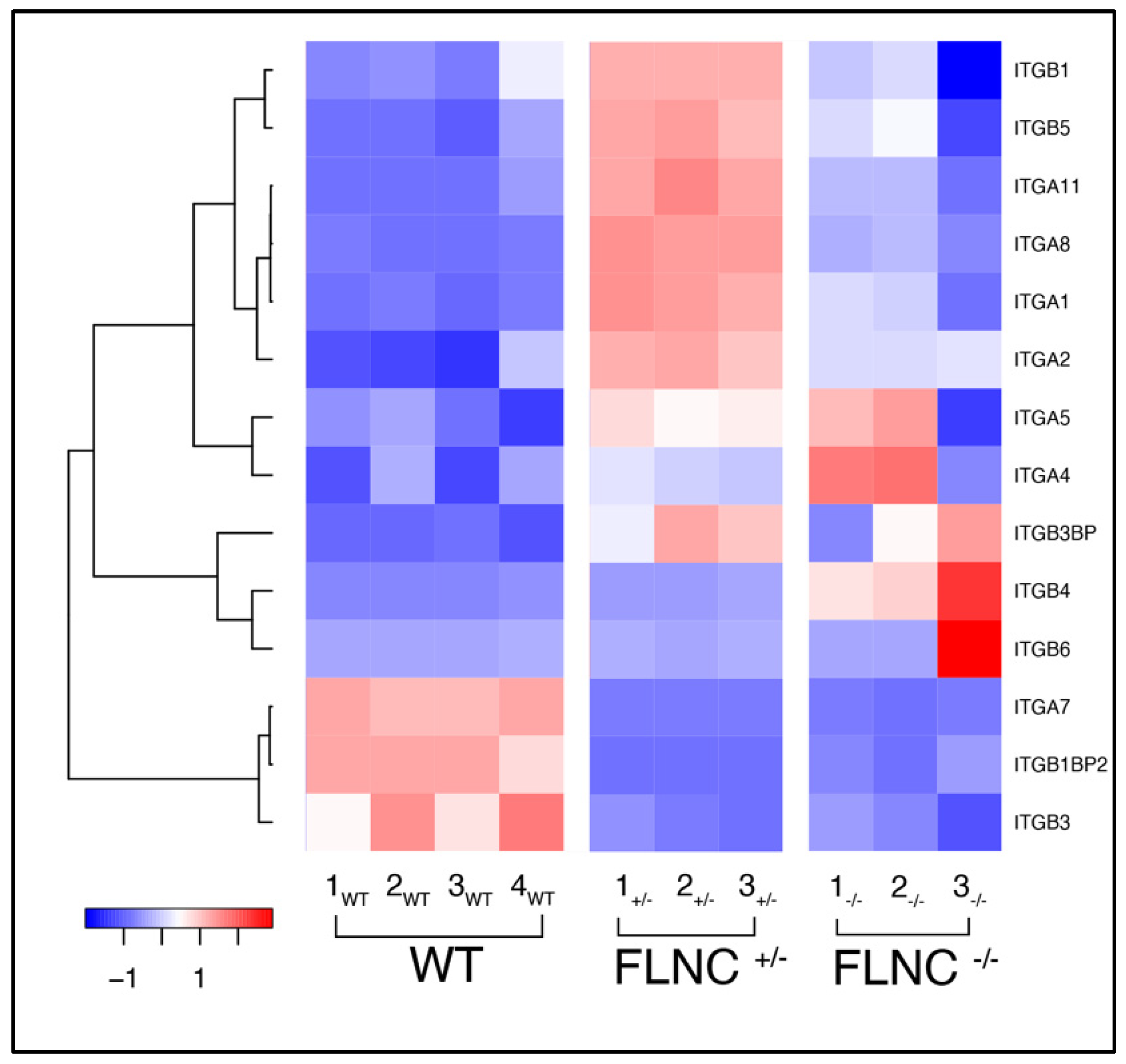 Ijms 25 02942 g006 Ijms 25 02942 g006