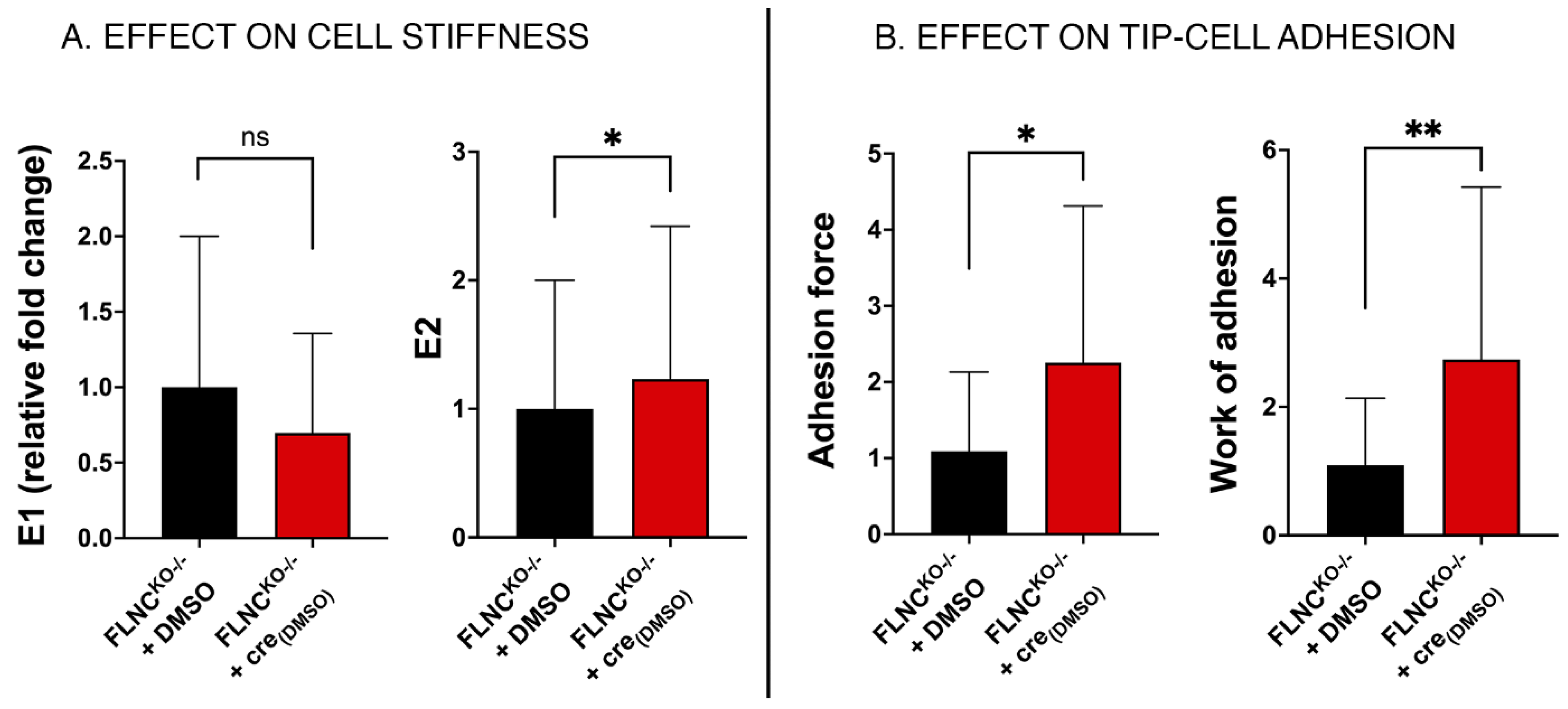 Ijms 25 02942 g007 Ijms 25 02942 g007