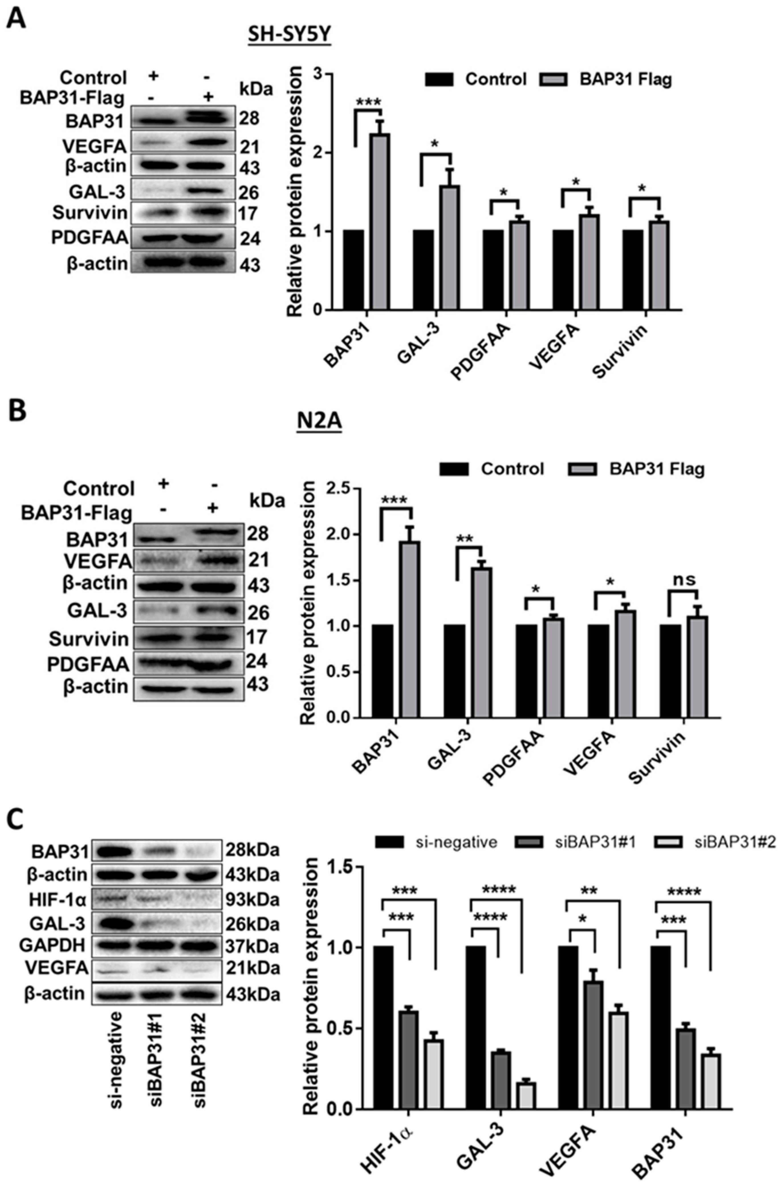 Ijms 25 02946 g002 Ijms 25 02946 g002
