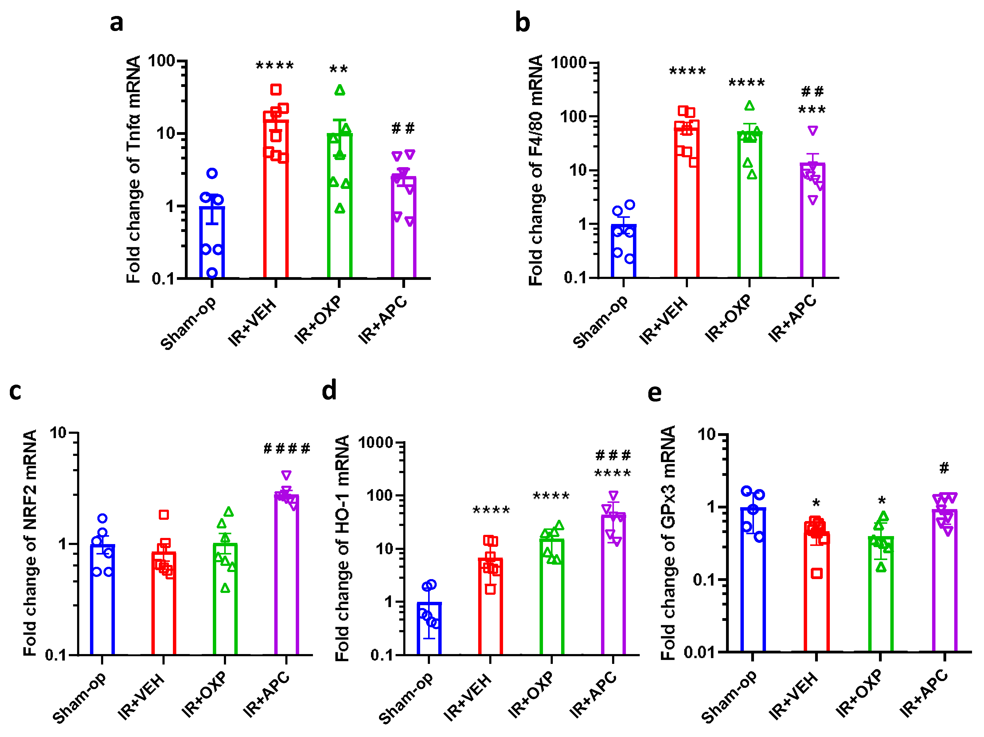 Ijms 25 02948 g005 Ijms 25 02948 g005
