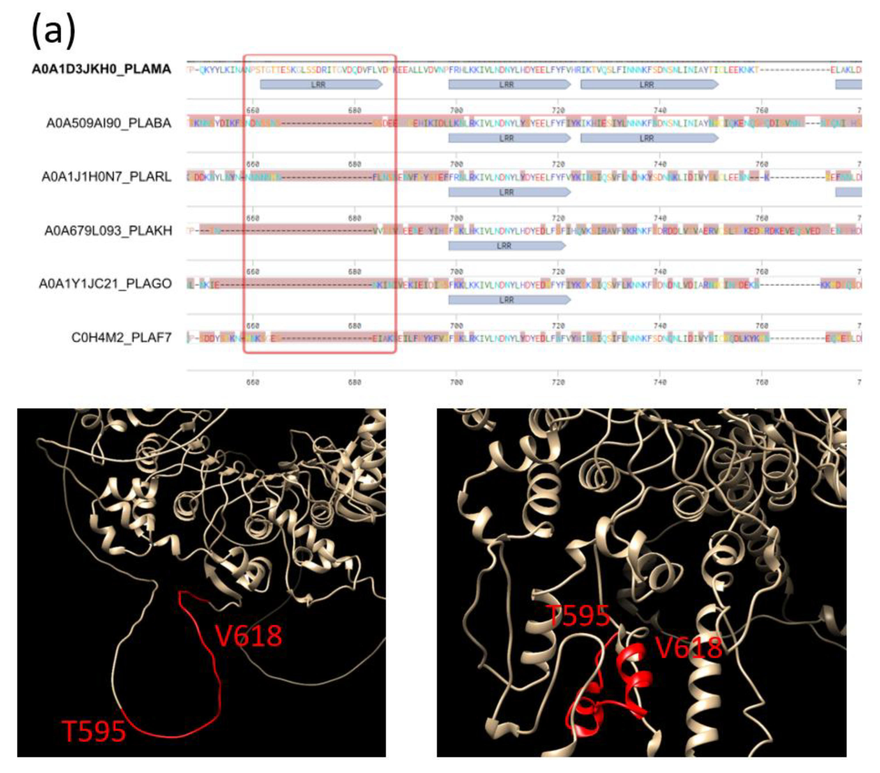 Ijms 25 02994 g004a Ijms 25 02994 g004a