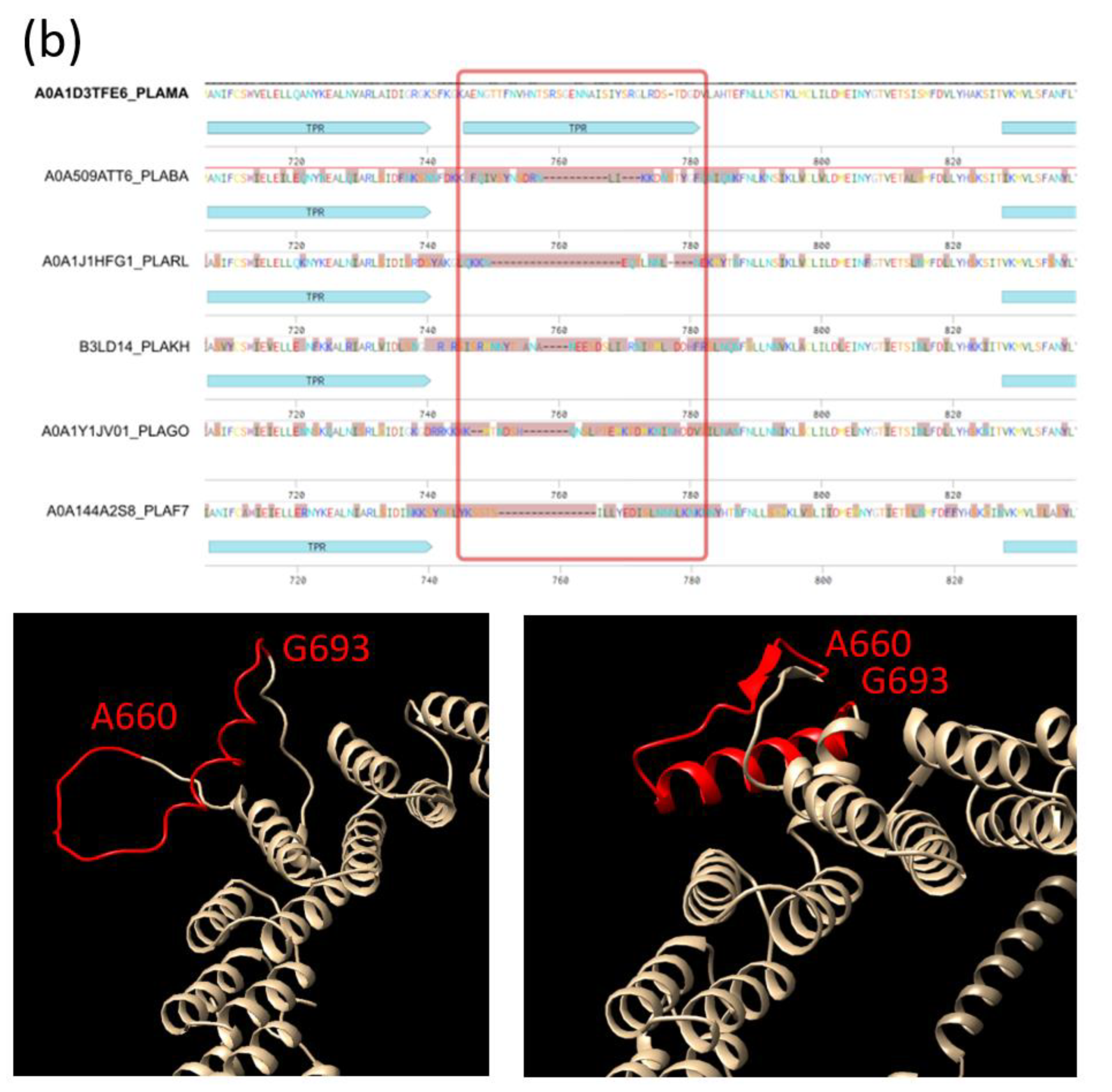 Ijms 25 02994 g004b Ijms 25 02994 g004b