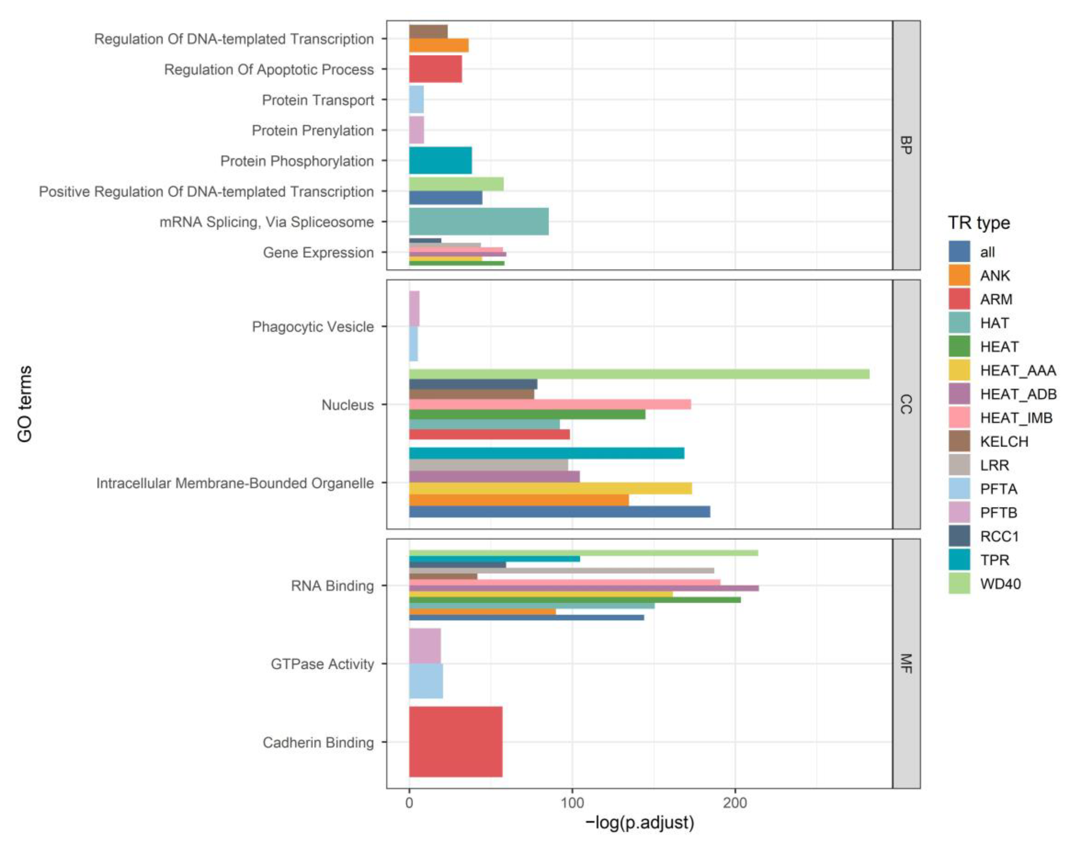 Ijms 25 02994 g005 Ijms 25 02994 g005