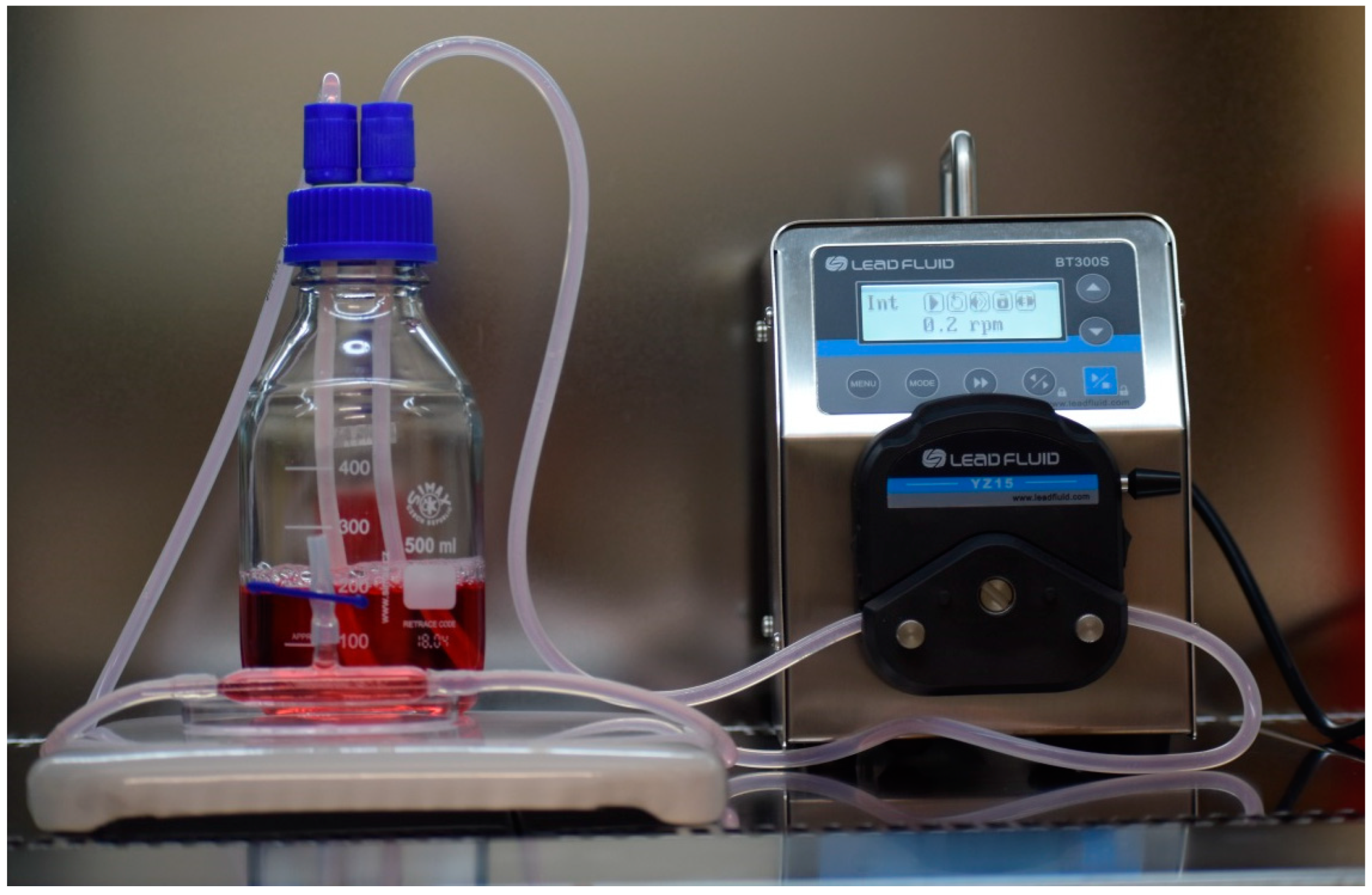 Ijms 25 03009 g001 Ijms 25 03009 g001