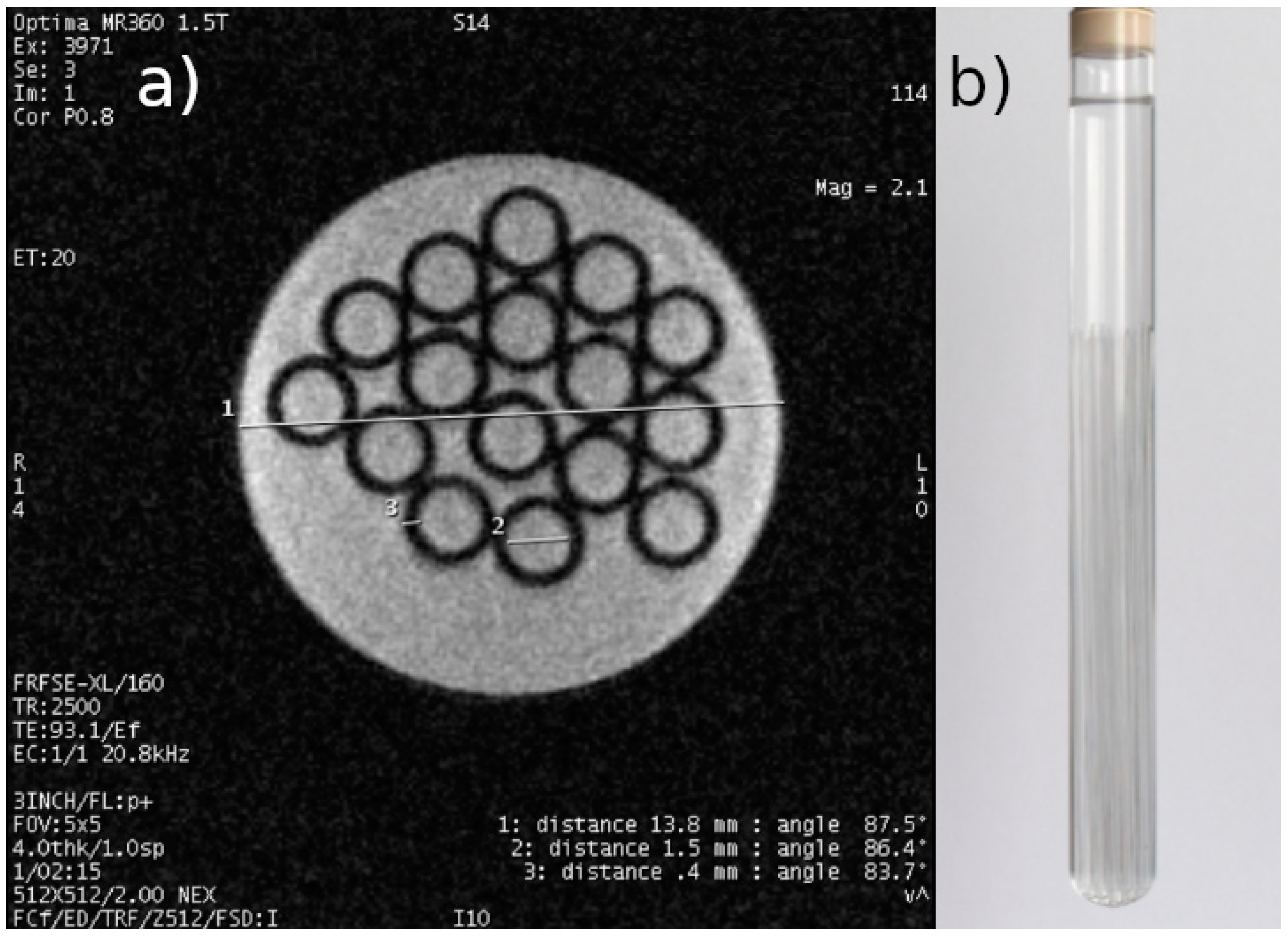 Ijms 25 03009 g002 Ijms 25 03009 g002