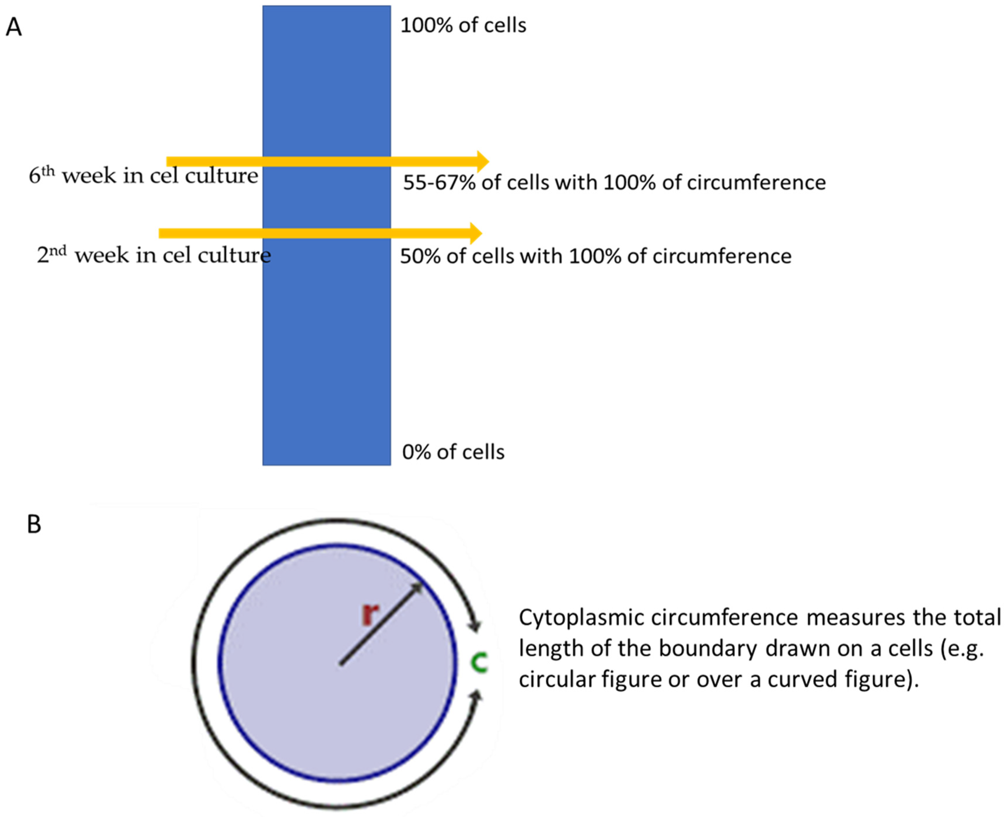 Ijms 25 03009 g003 Ijms 25 03009 g003