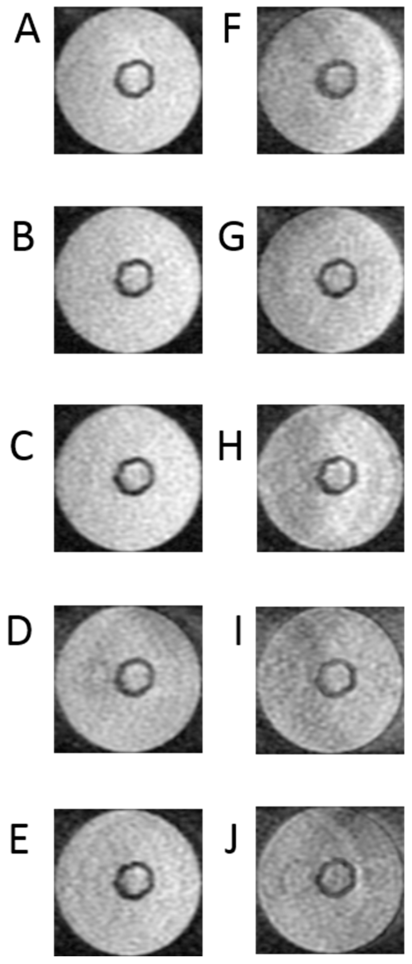 Ijms 25 03009 g005 Ijms 25 03009 g005