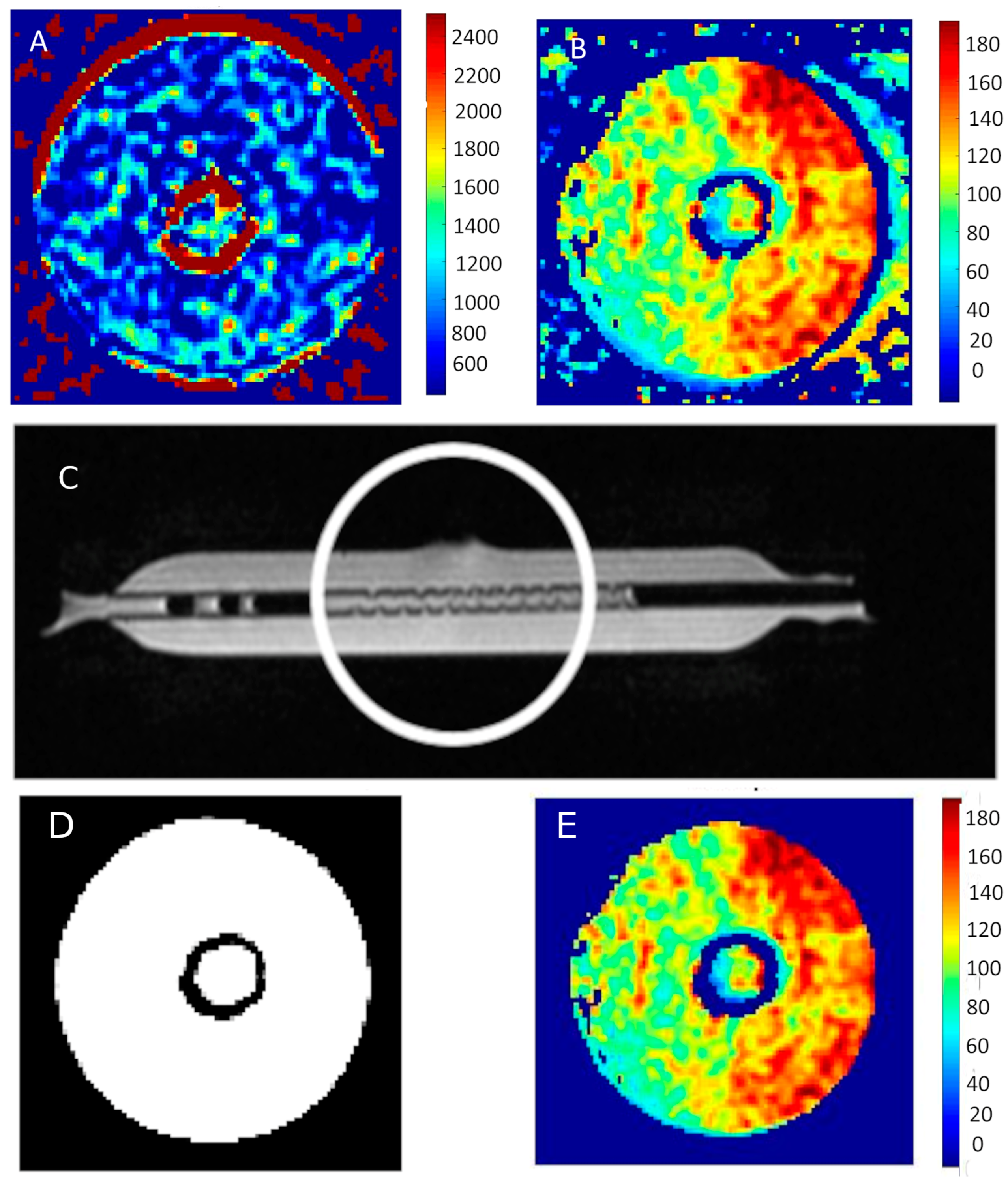 Ijms 25 03009 g006 Ijms 25 03009 g006