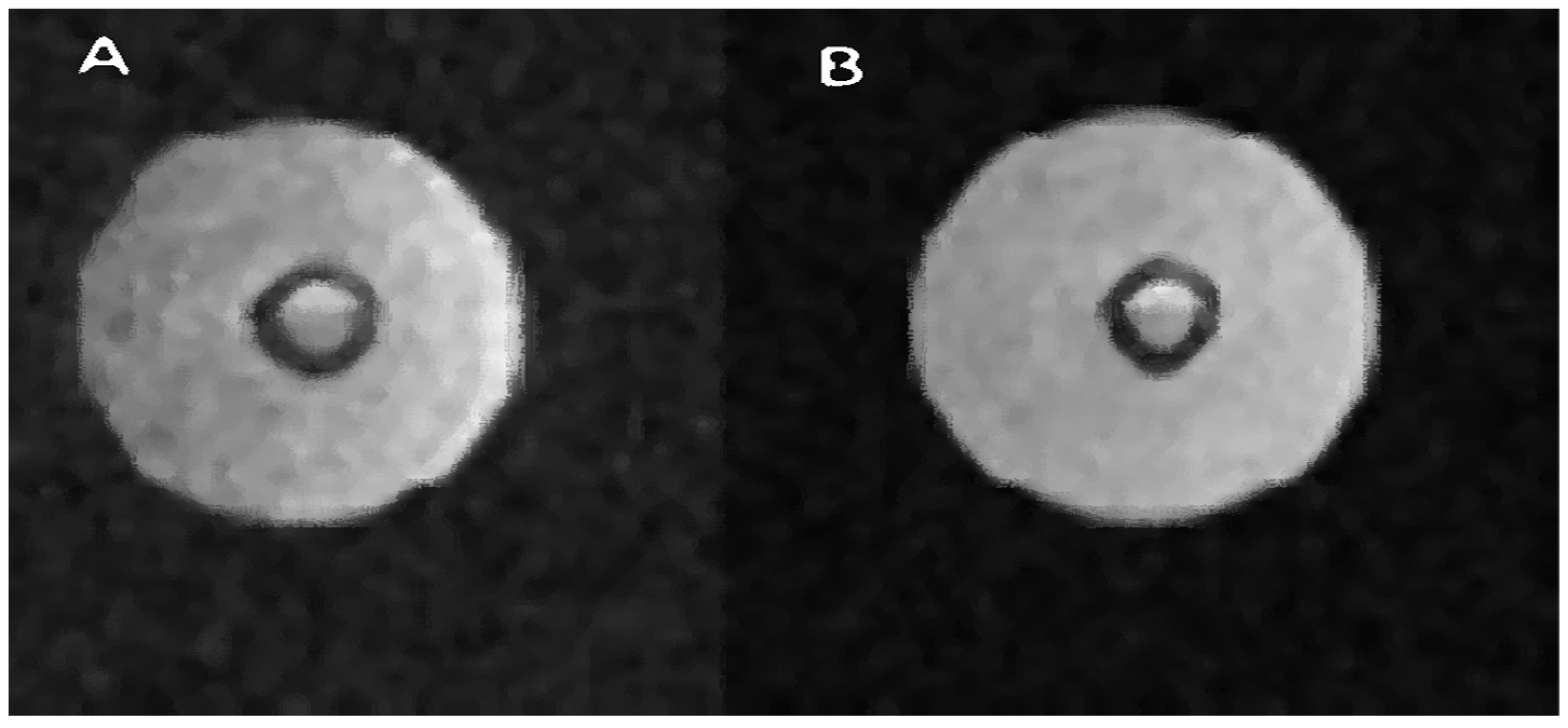 Ijms 25 03009 g007 Ijms 25 03009 g007