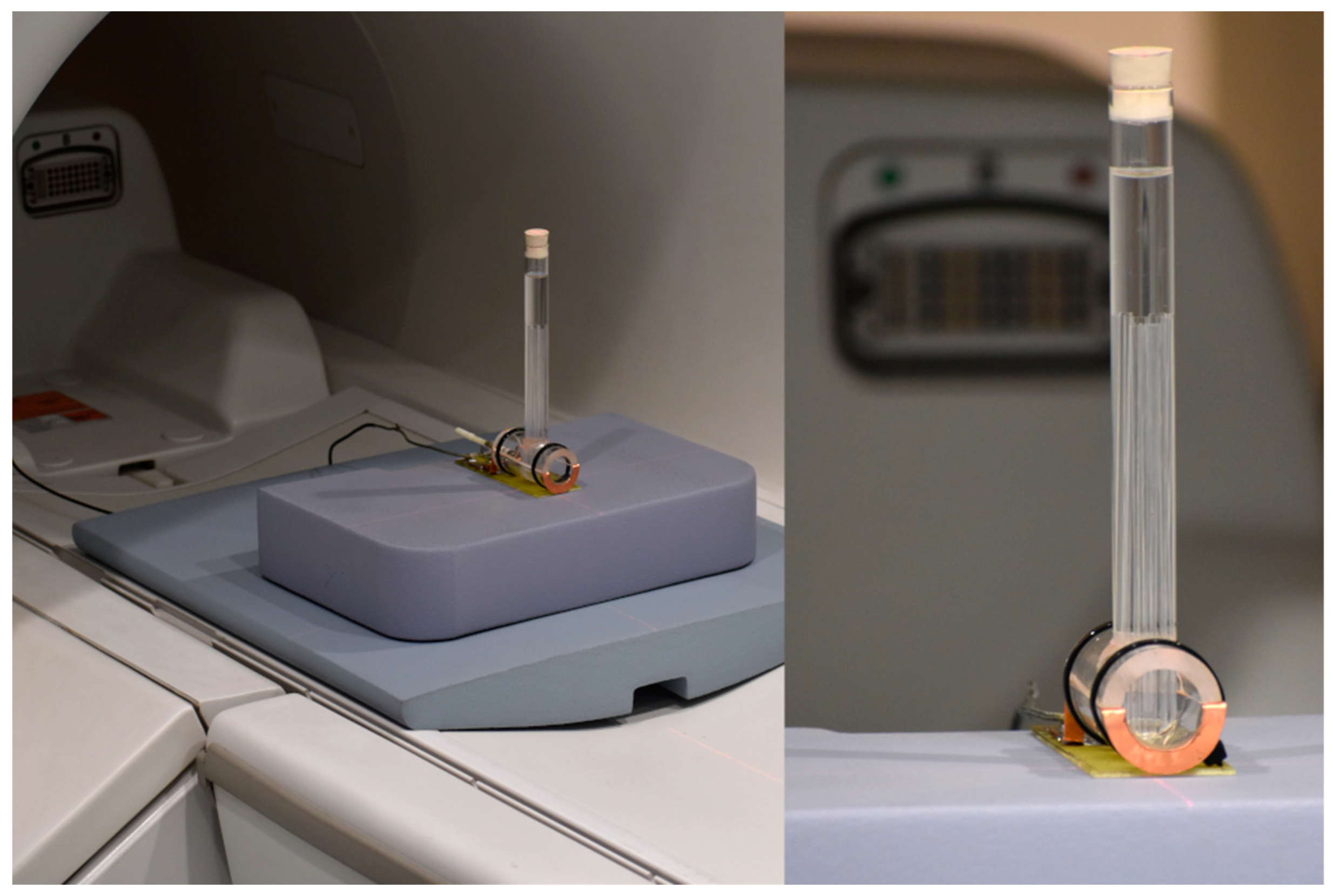 Ijms 25 03009 g010 Ijms 25 03009 g010