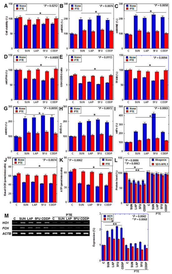 IJMS | Free Full-Text | Involvement of Ferroptosis Induction and 