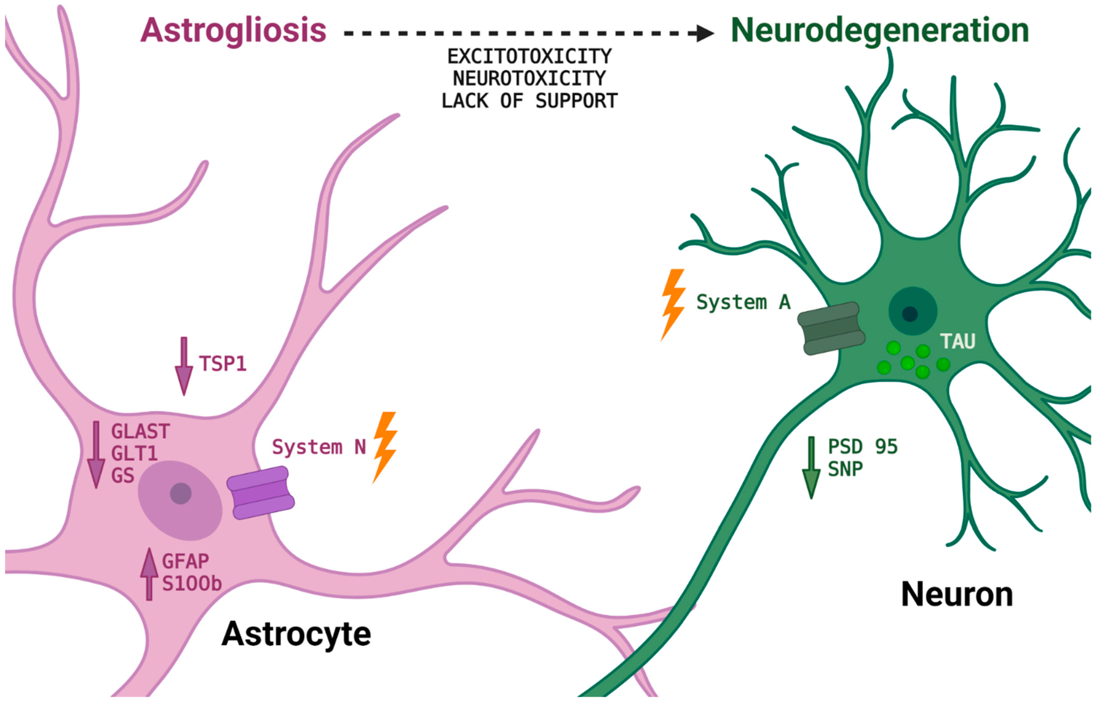 Ijms 25 03050 g002 Ijms 25 03050 g002