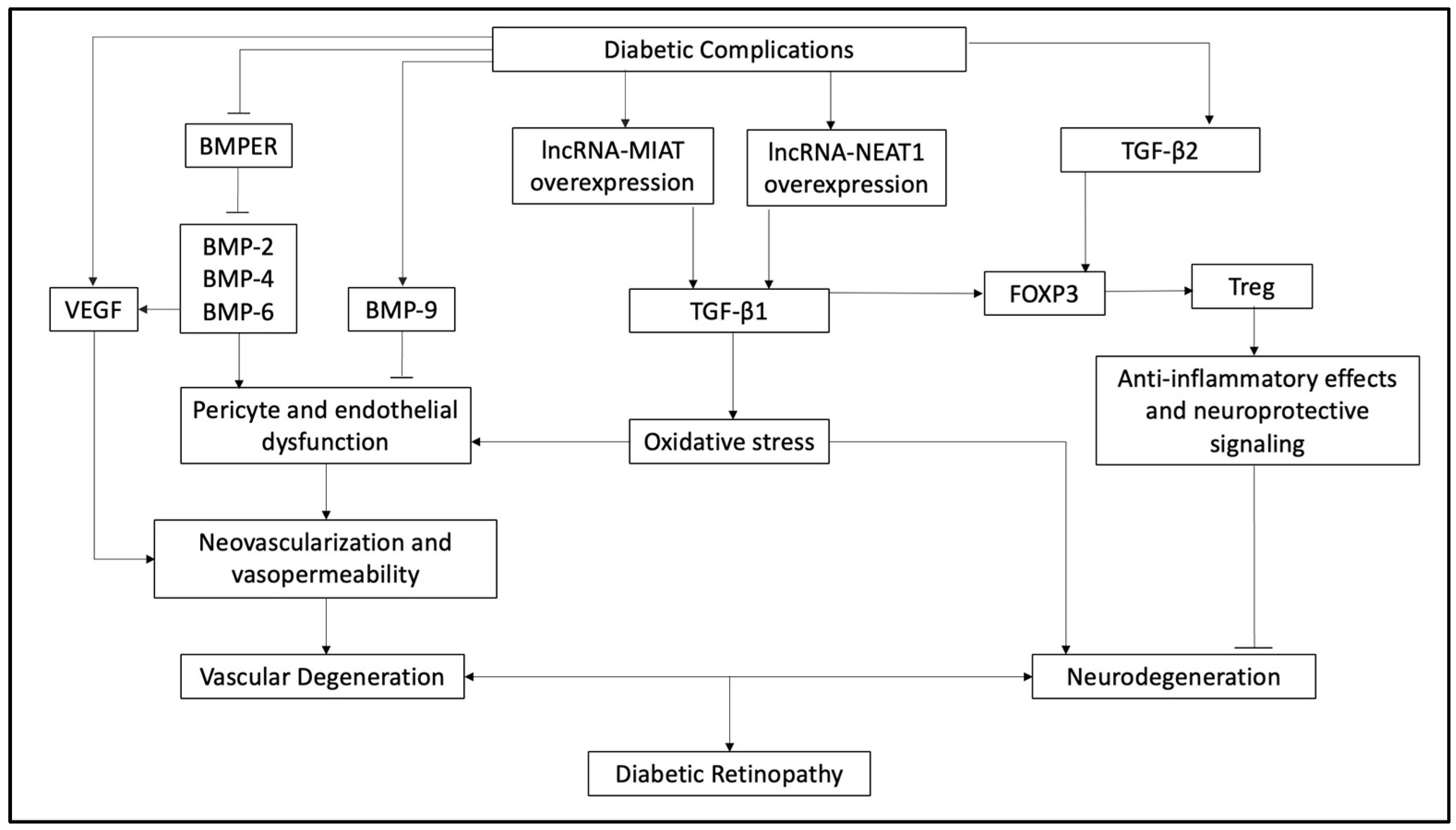 Ijms 25 03052 g001 Ijms 25 03052 g001