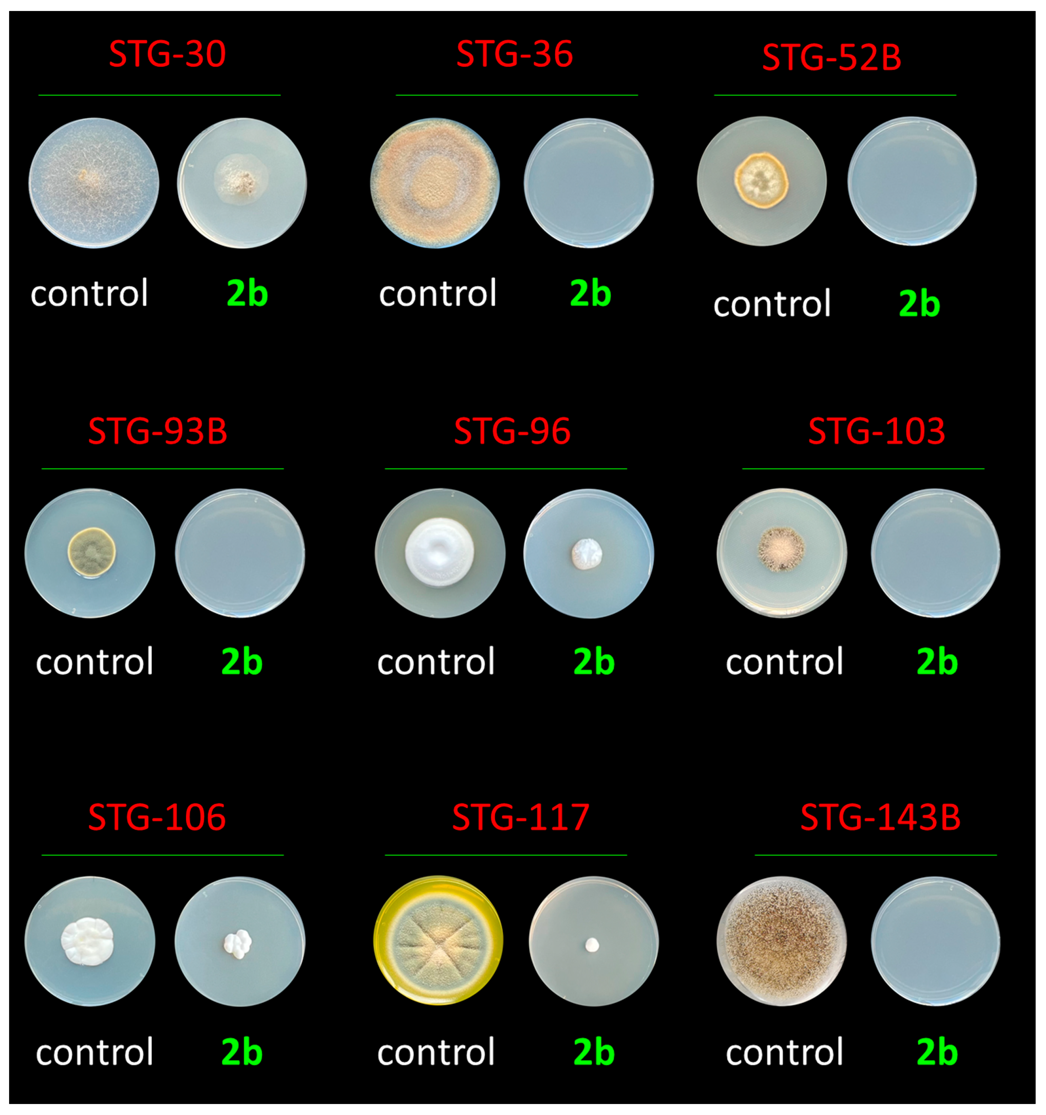 Ijms 25 03053 g003 Ijms 25 03053 g003