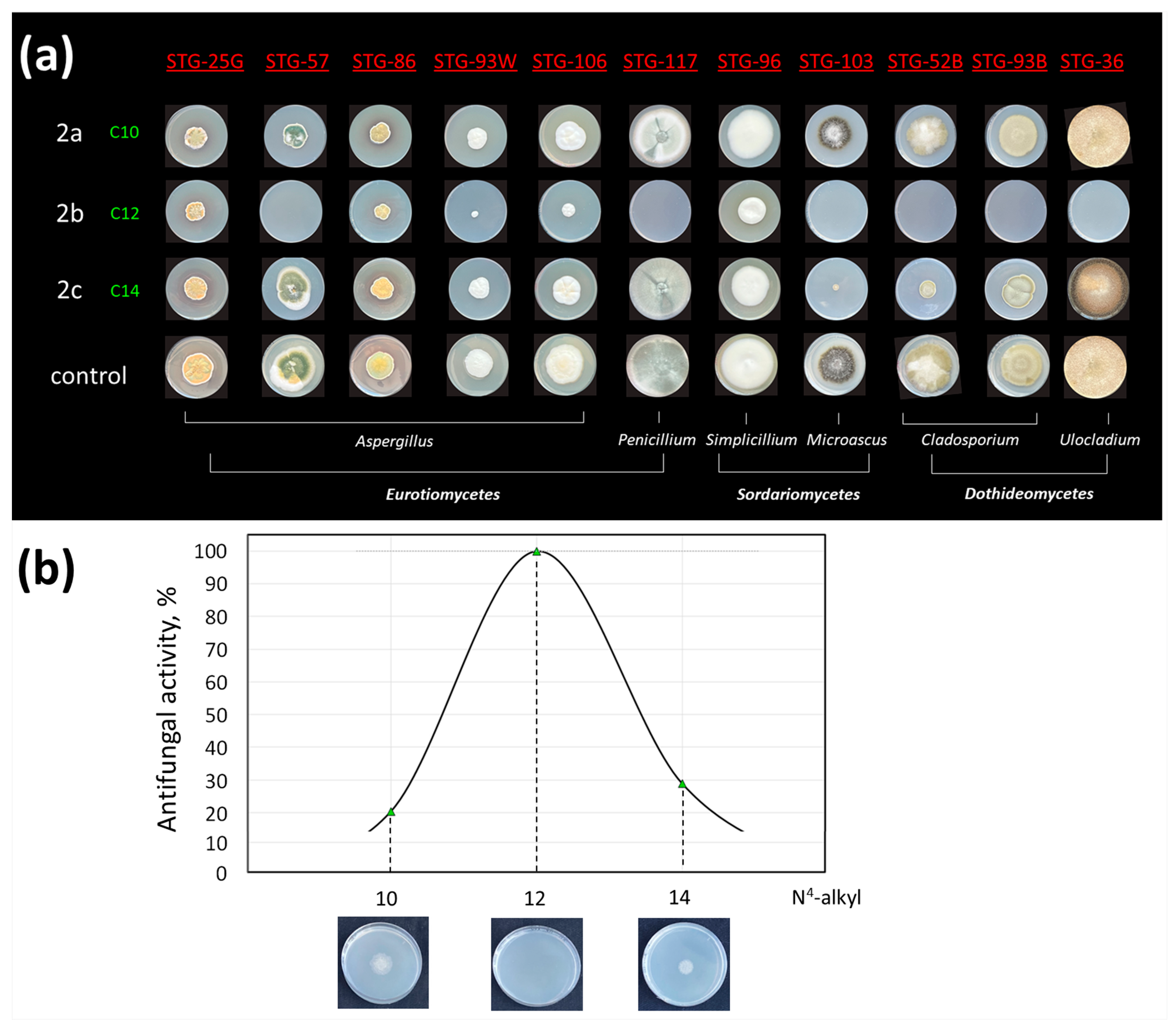 Ijms 25 03053 g005 Ijms 25 03053 g005