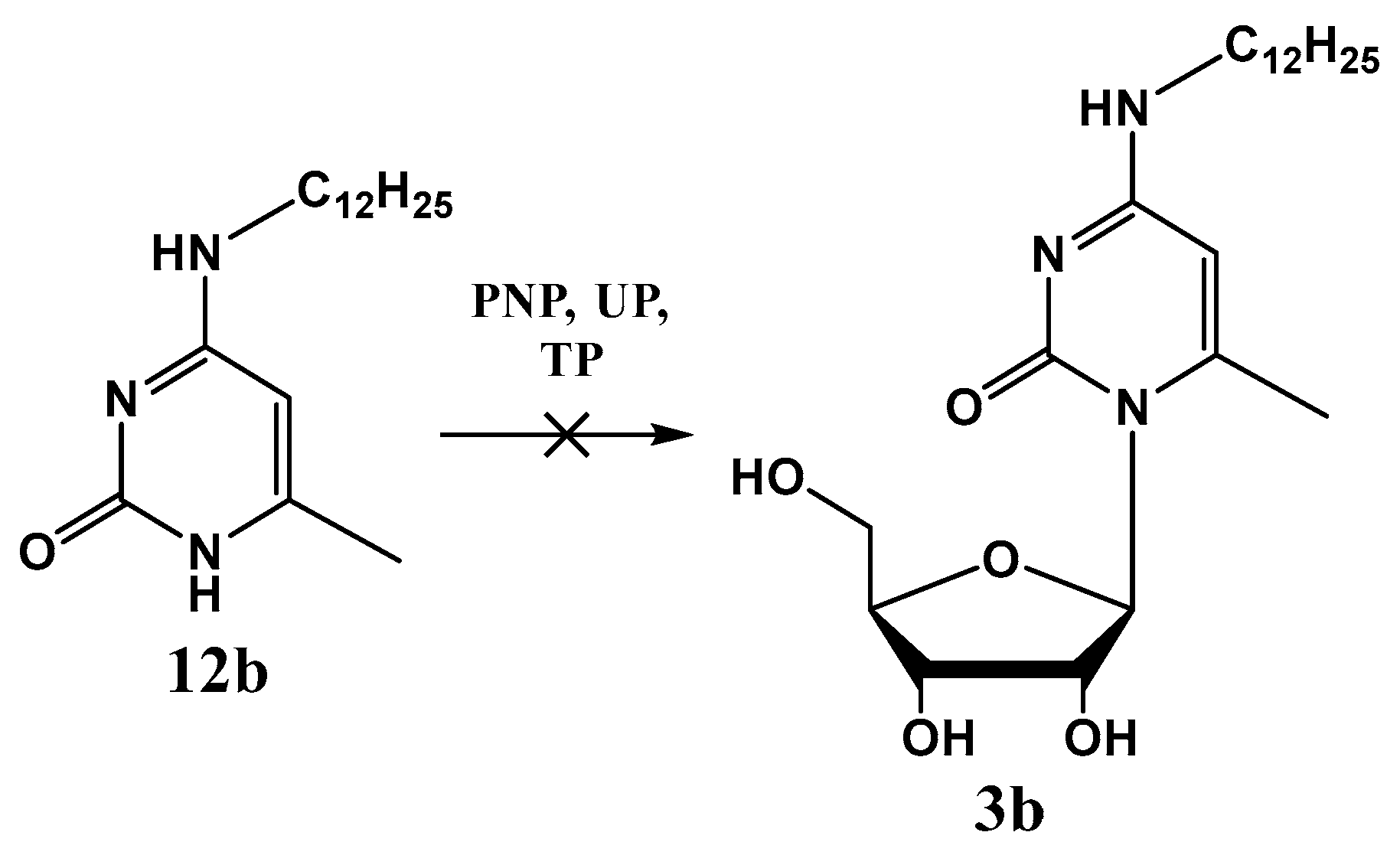 Ijms 25 03053 sch004 Ijms 25 03053 sch004