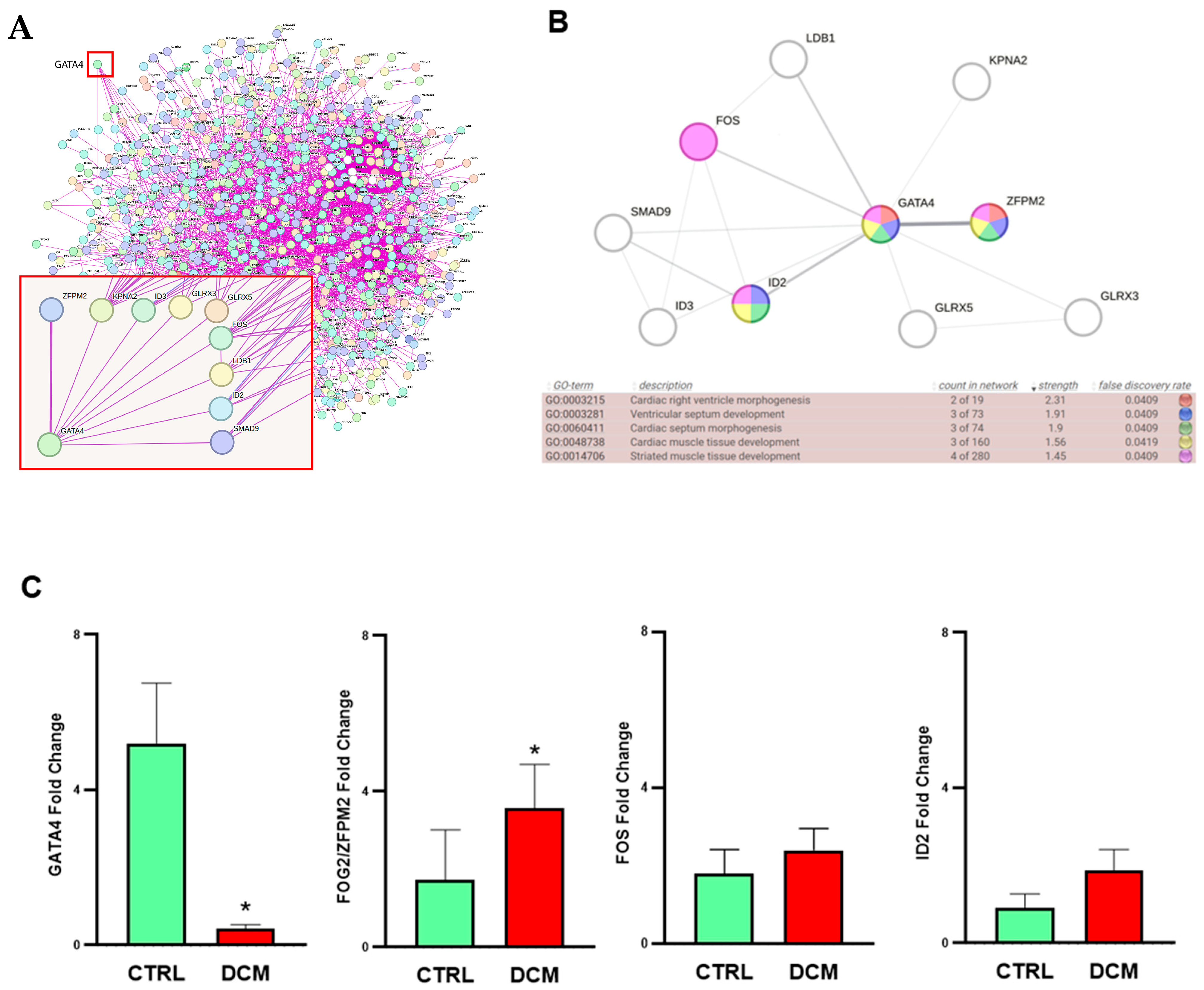 Ijms 25 03057 g003 Ijms 25 03057 g003