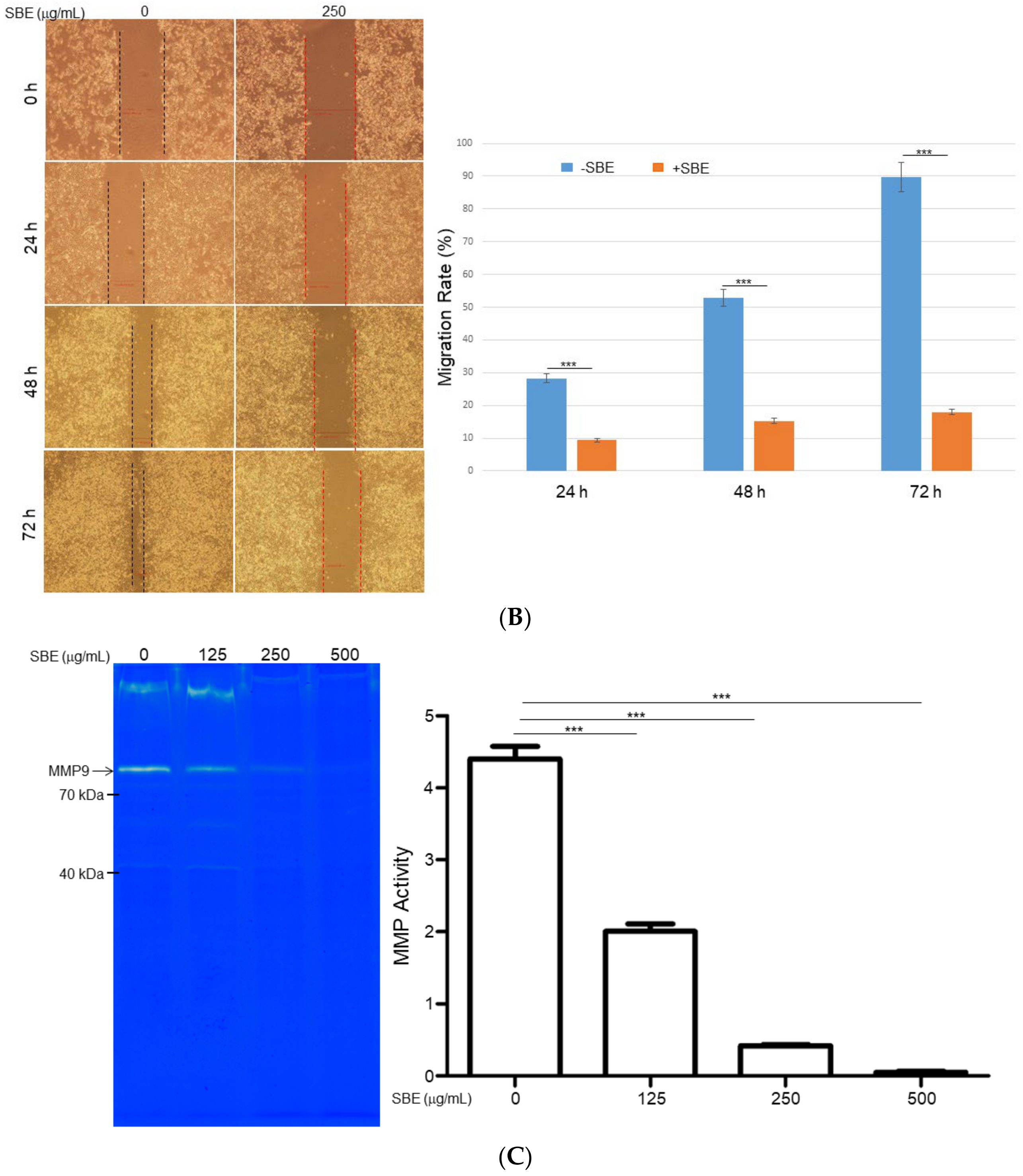 Ijms 25 03073 g003b Ijms 25 03073 g003b