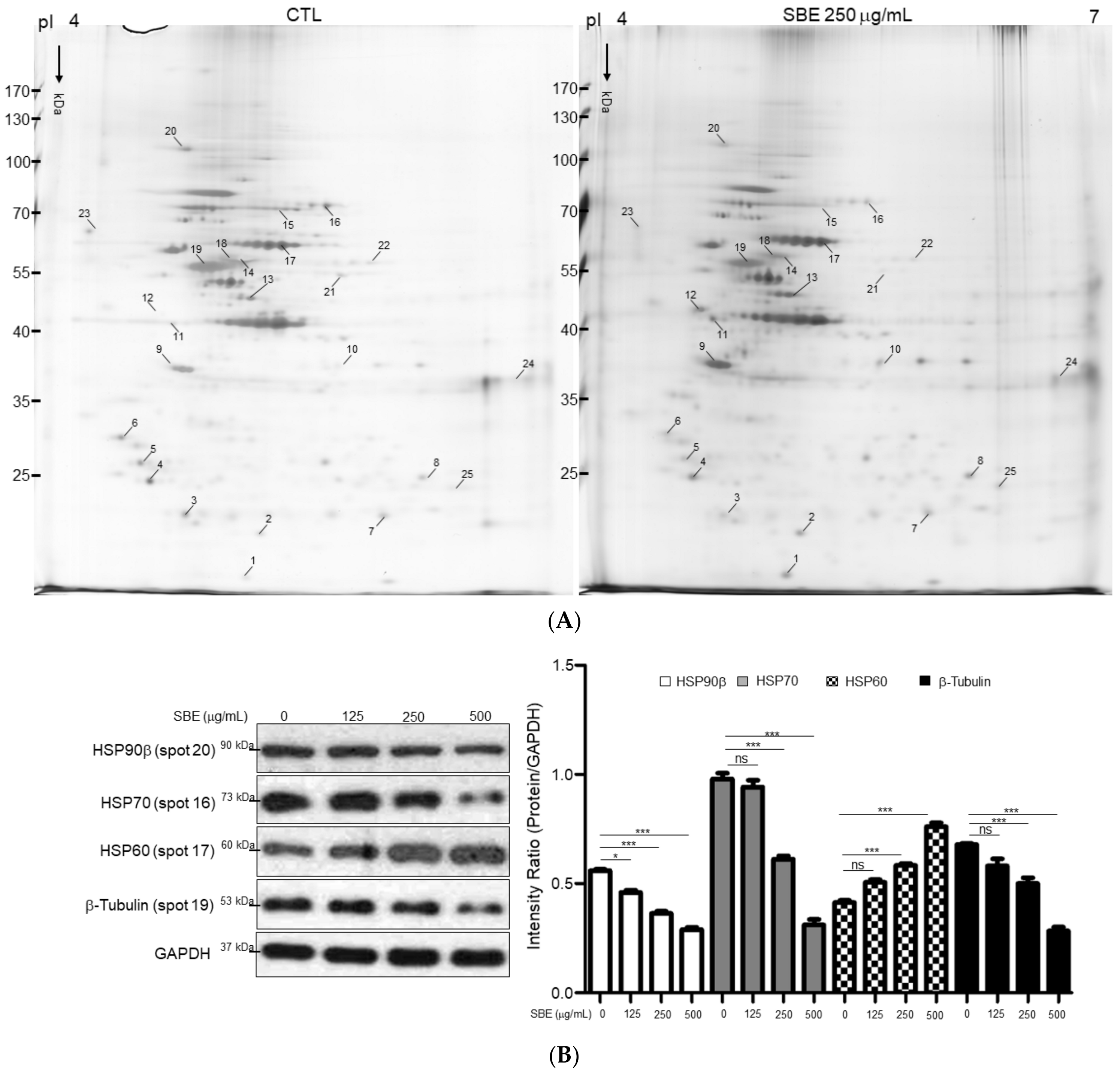 Ijms 25 03073 g004a Ijms 25 03073 g004a
