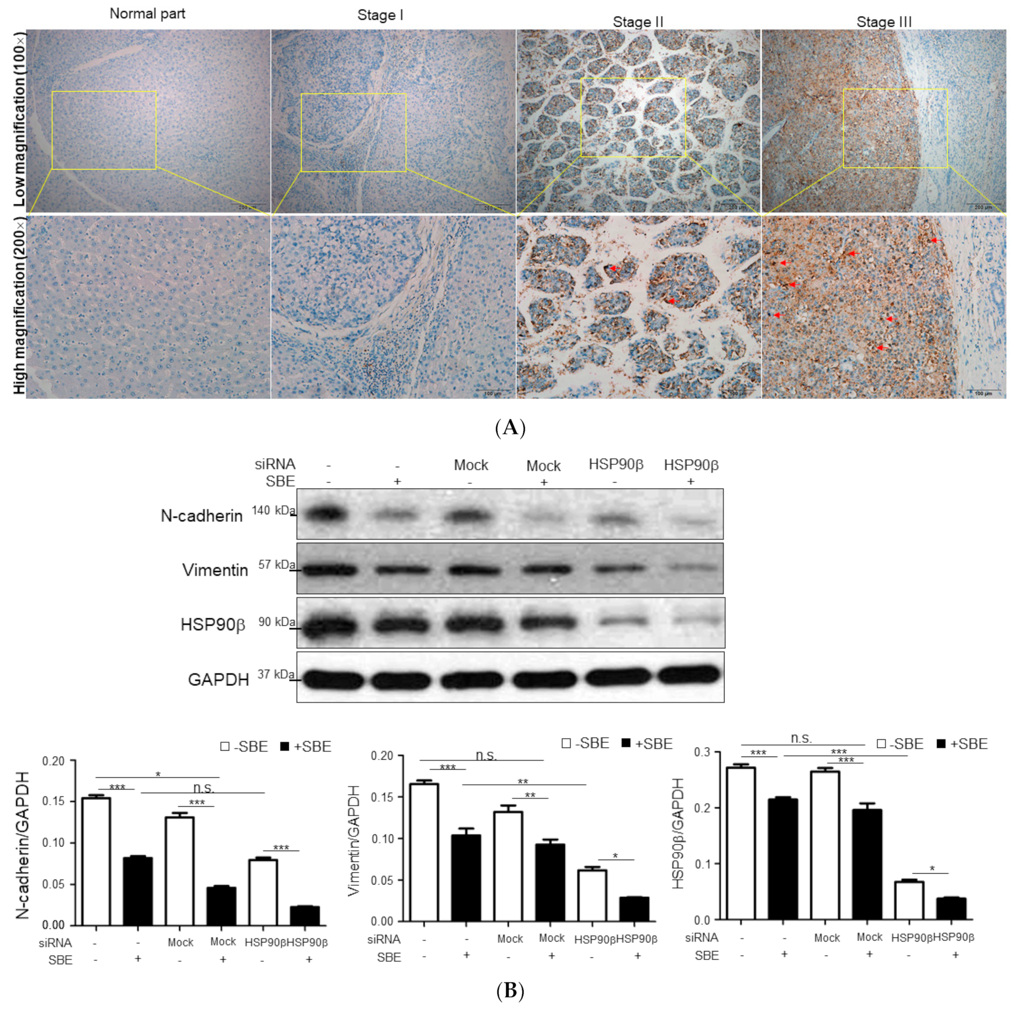 Ijms 25 03073 g005a Ijms 25 03073 g005a