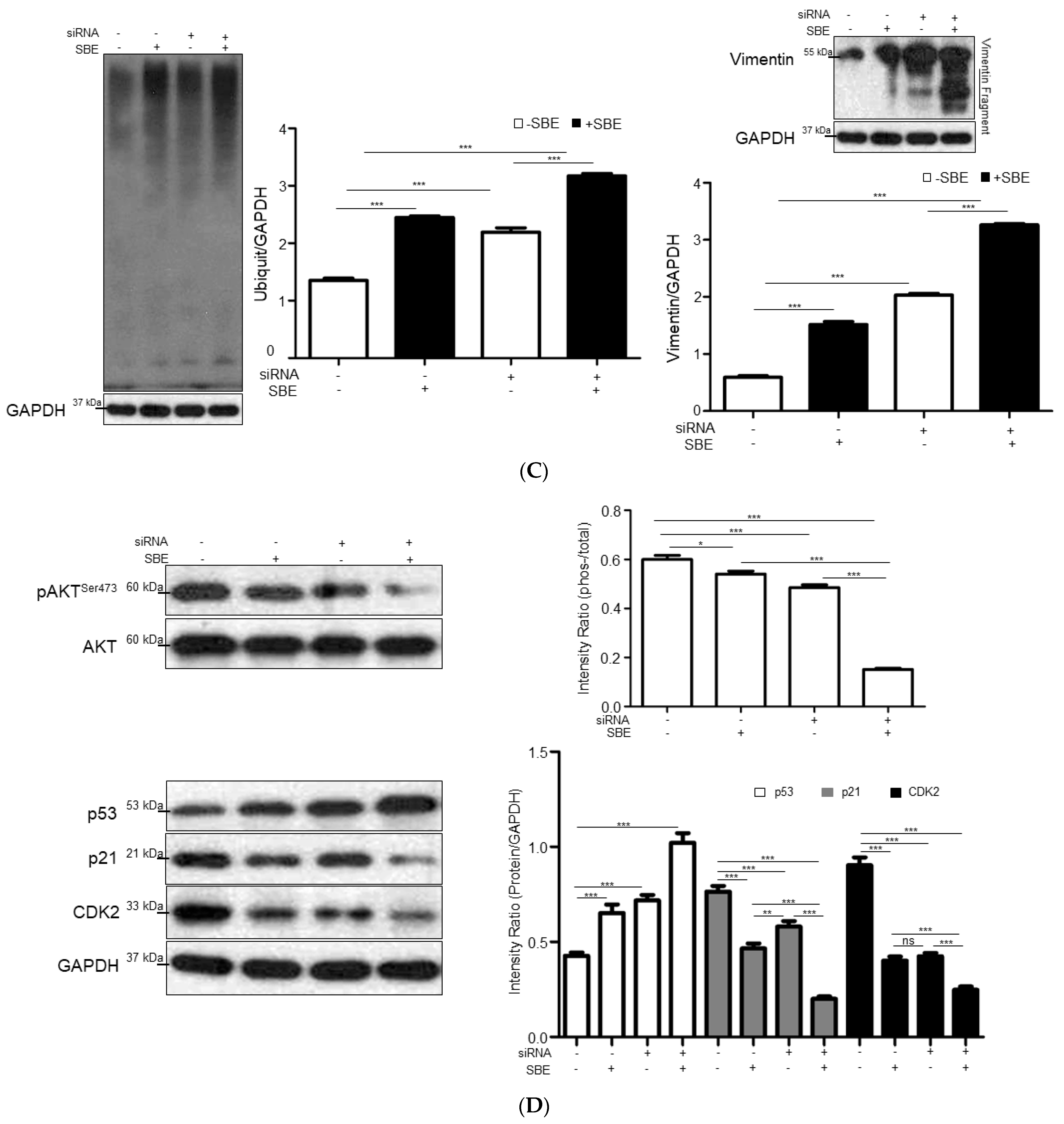 Ijms 25 03073 g005b Ijms 25 03073 g005b