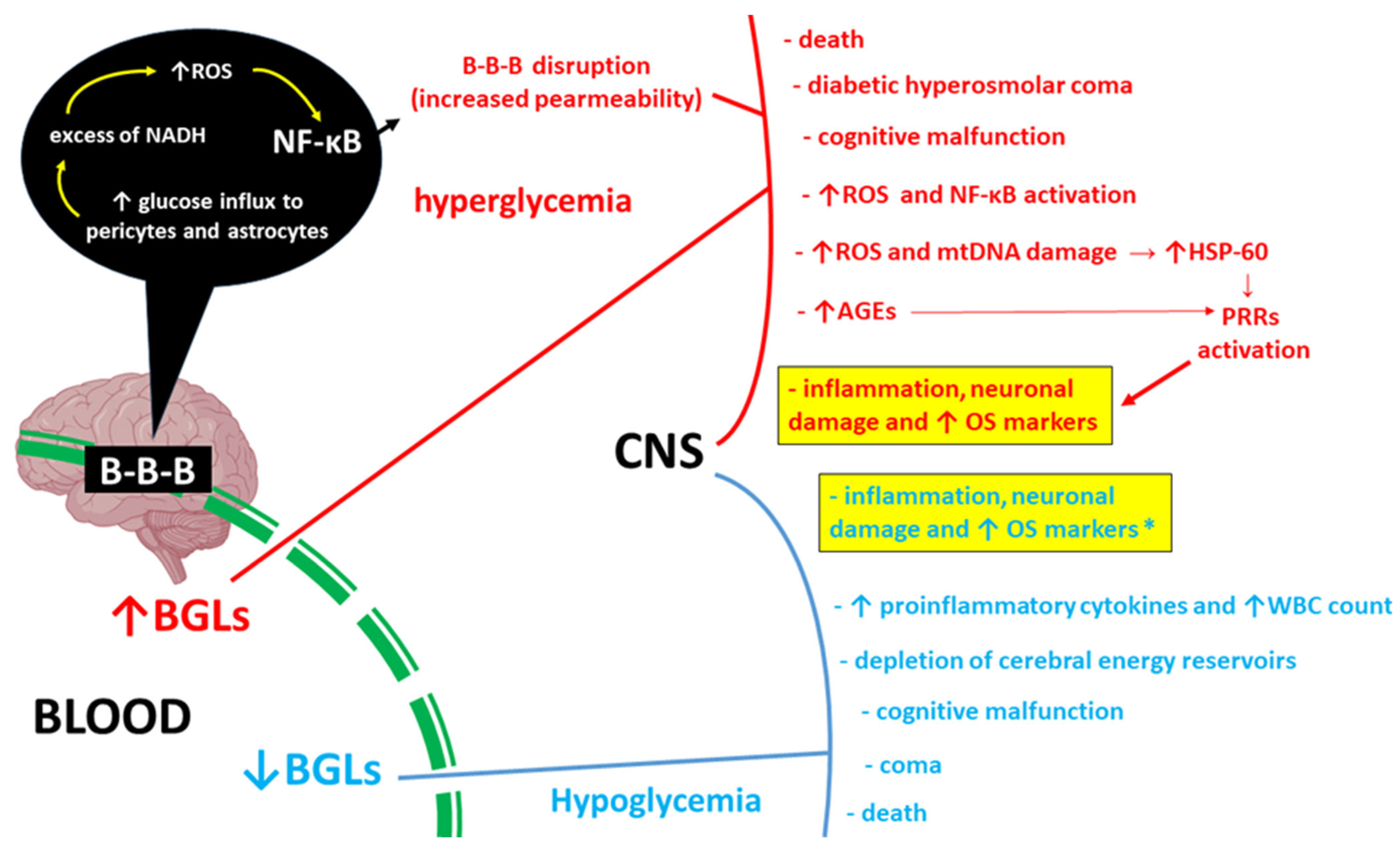 Ijms 25 03110 g001 Ijms 25 03110 g001