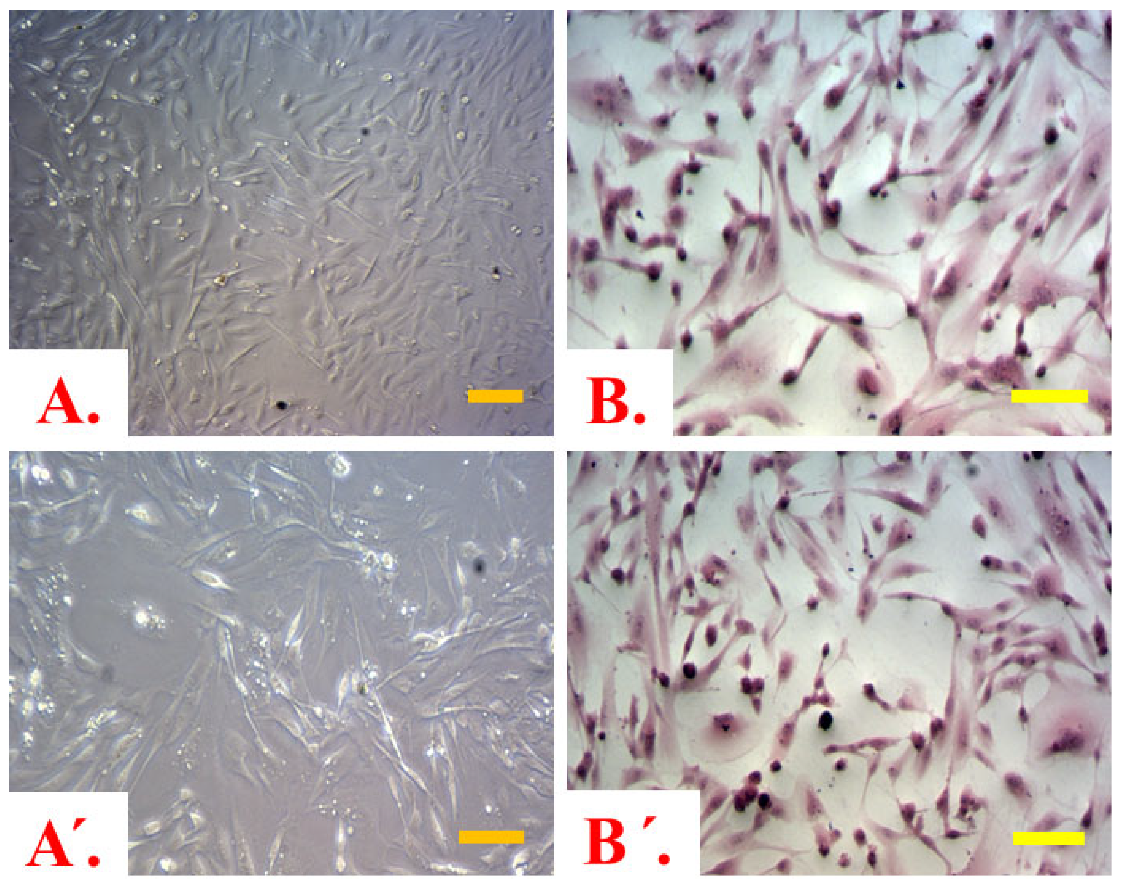 Ijms 25 03110 g002 Ijms 25 03110 g002