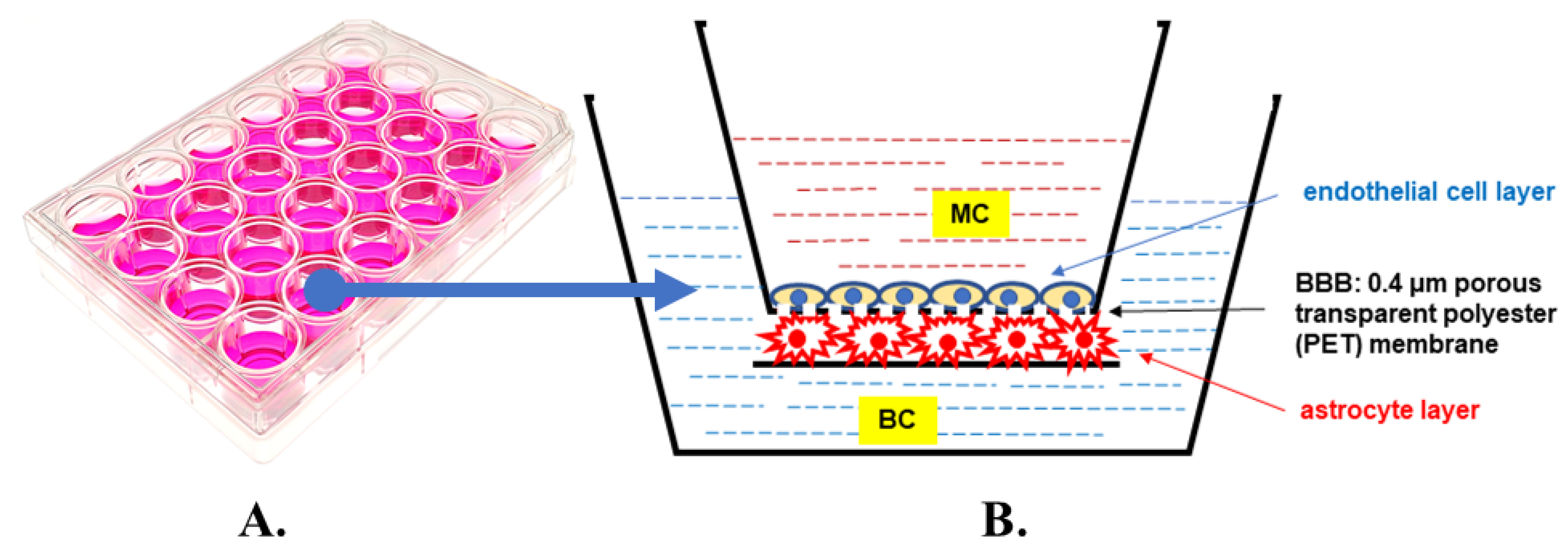Ijms 25 03110 g008 Ijms 25 03110 g008