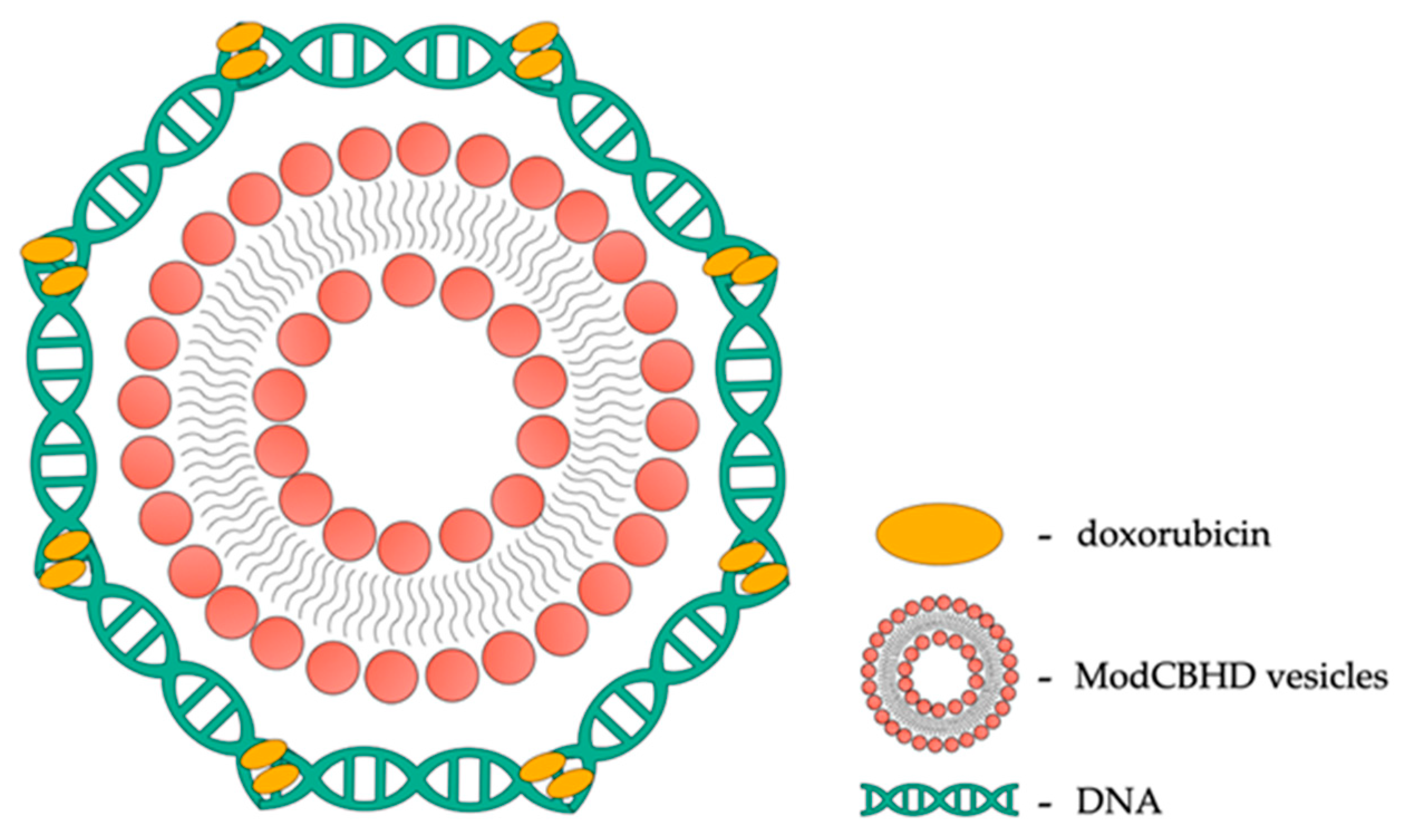 Ijms 25 03126 g005 Ijms 25 03126 g005