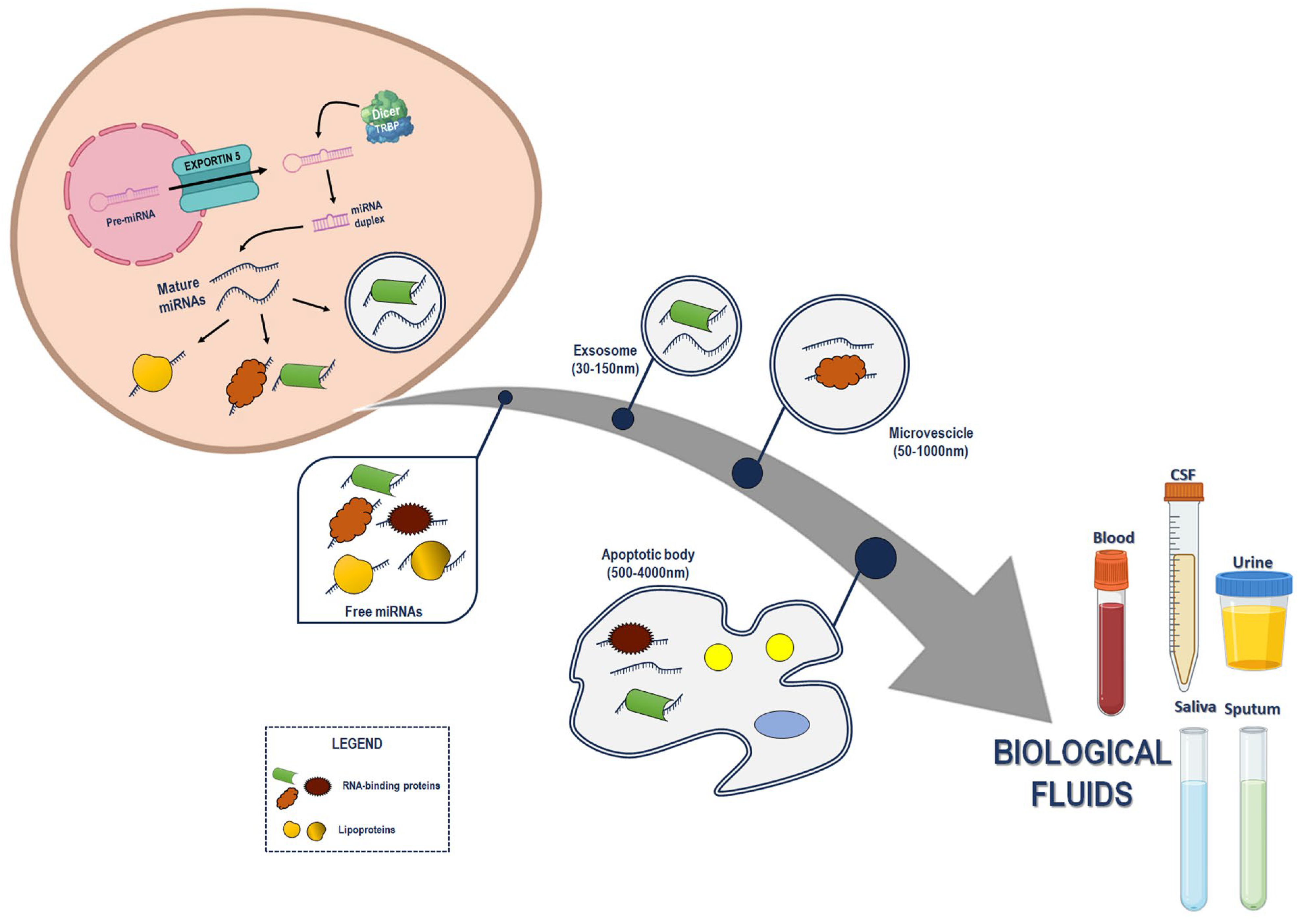 Ijms 25 03140 g001 Ijms 25 03140 g001