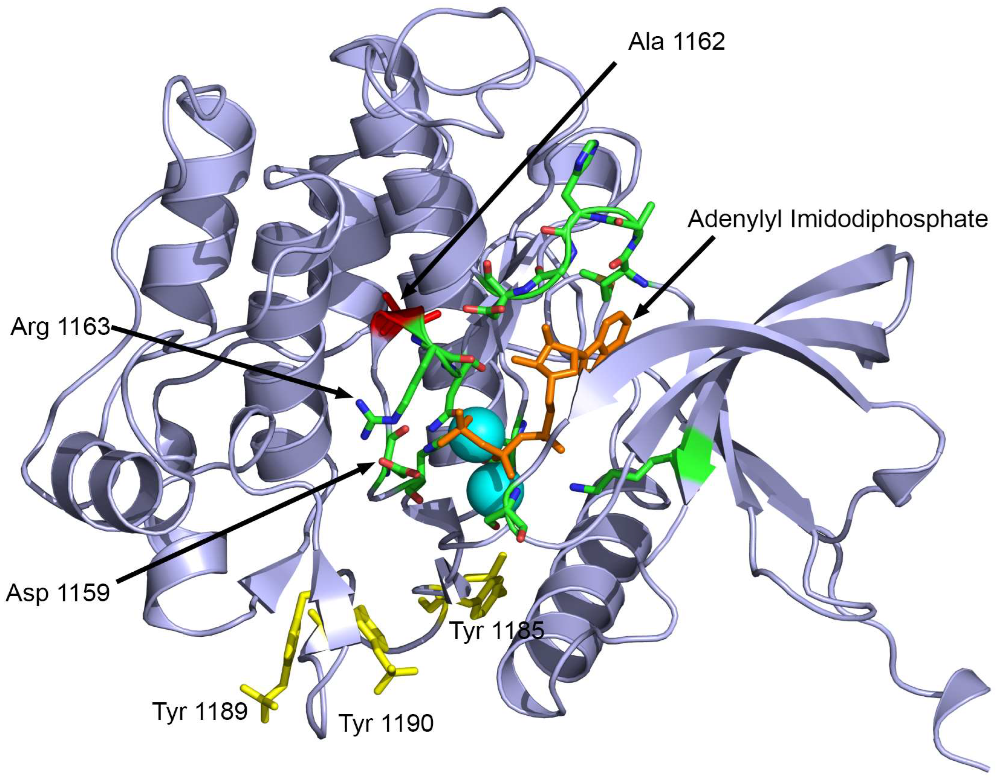 Ijms 25 03143 g005