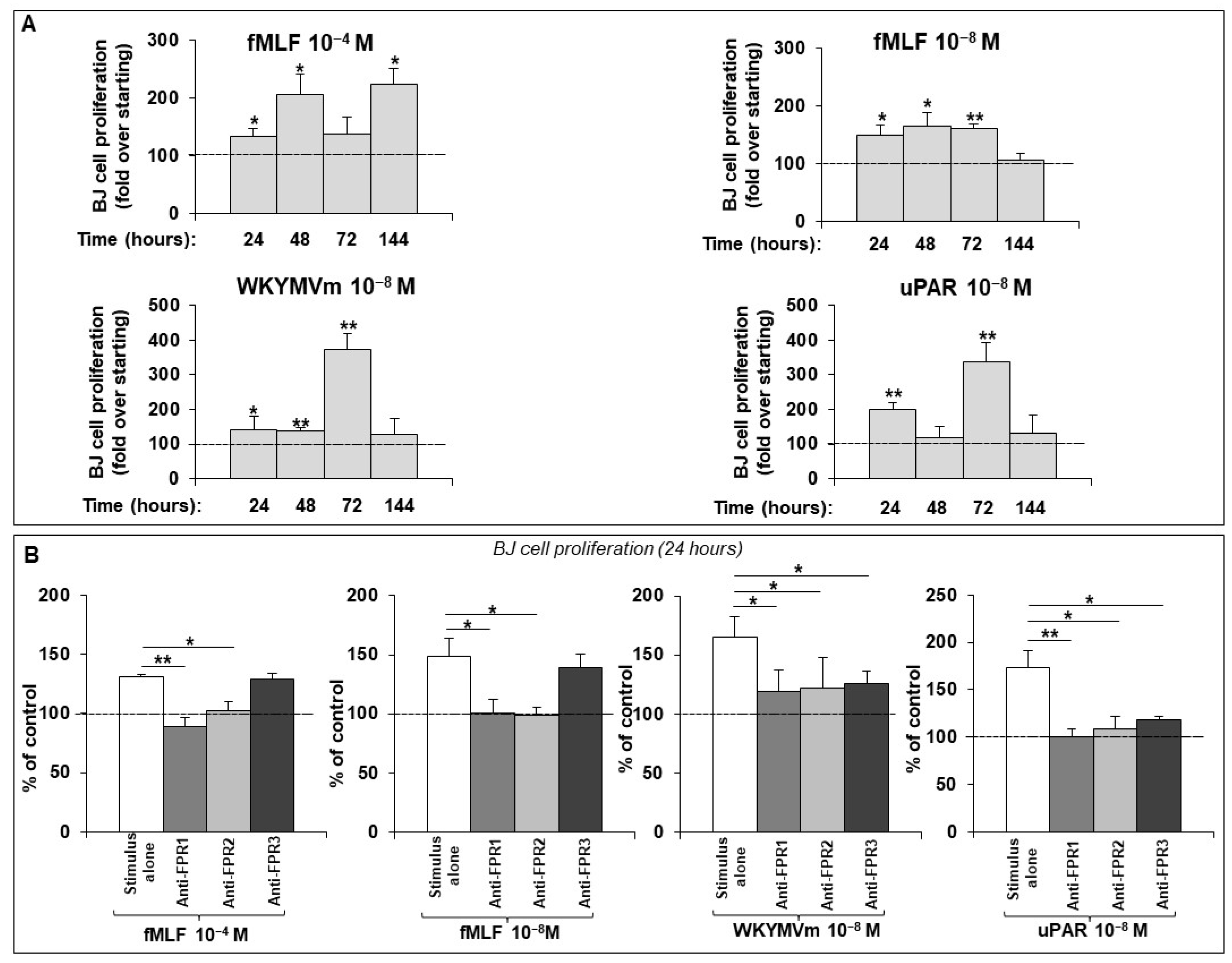 Ijms 25 03156 g001 Ijms 25 03156 g001