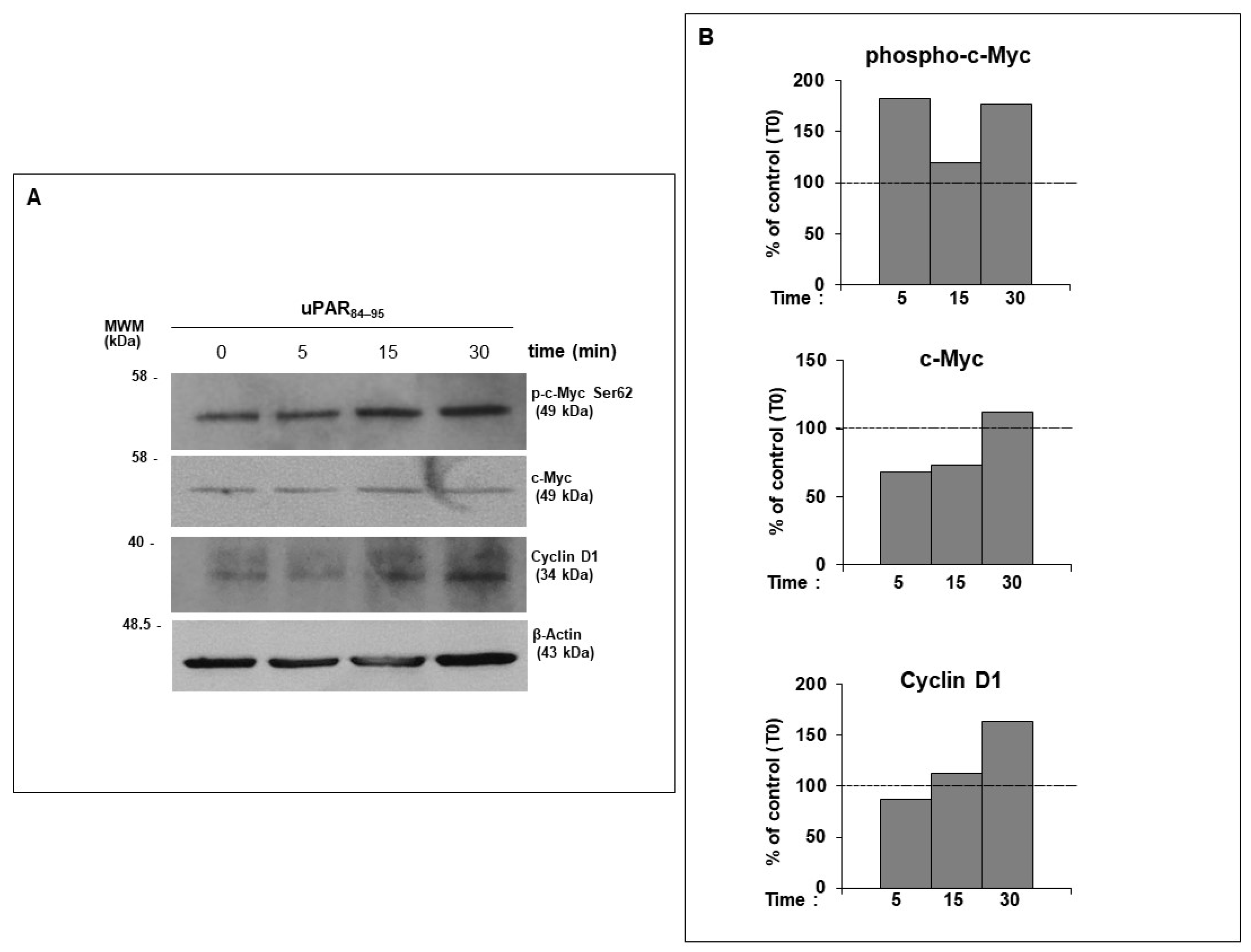 Ijms 25 03156 g003 Ijms 25 03156 g003