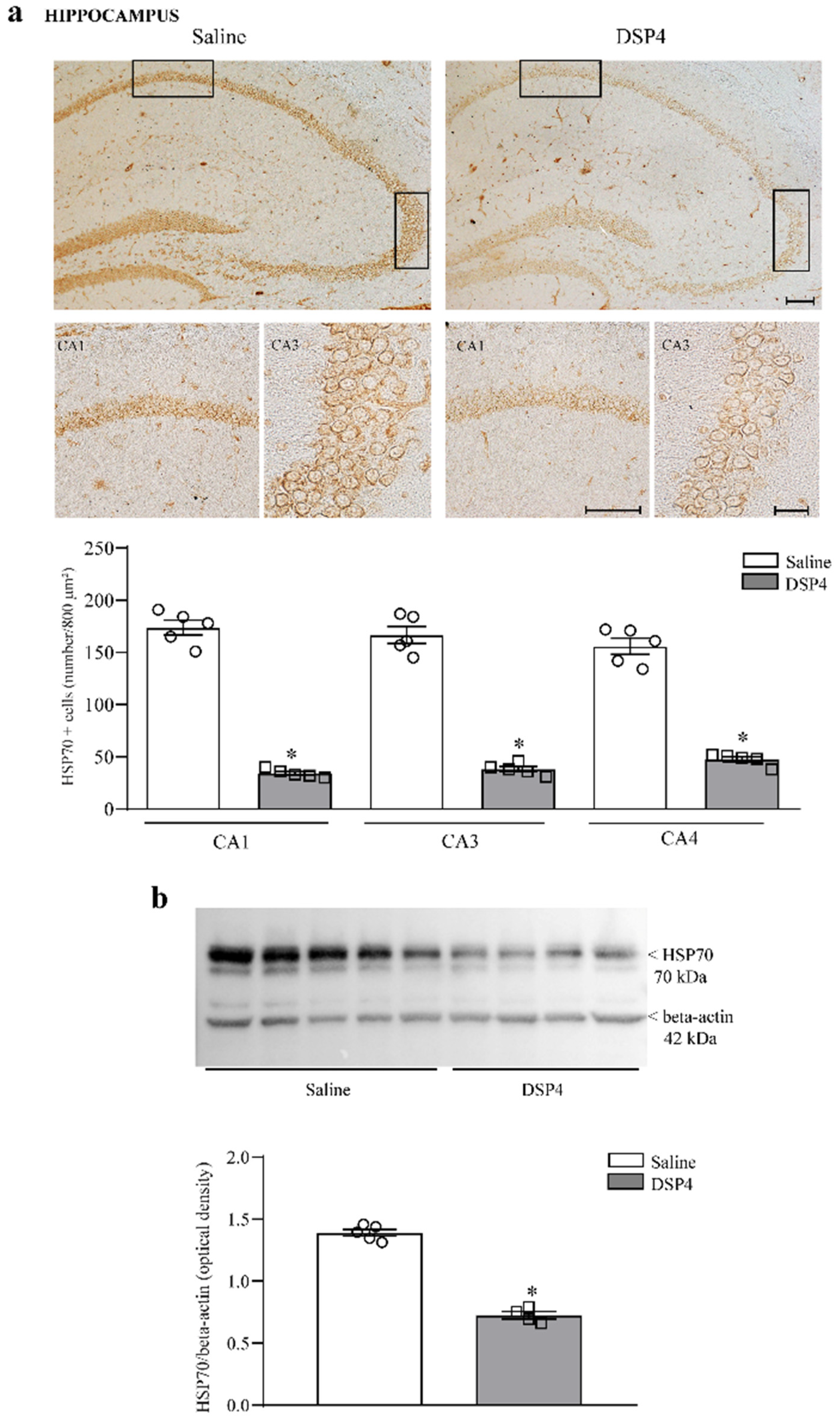 Ijms 25 03159 g003 Ijms 25 03159 g003
