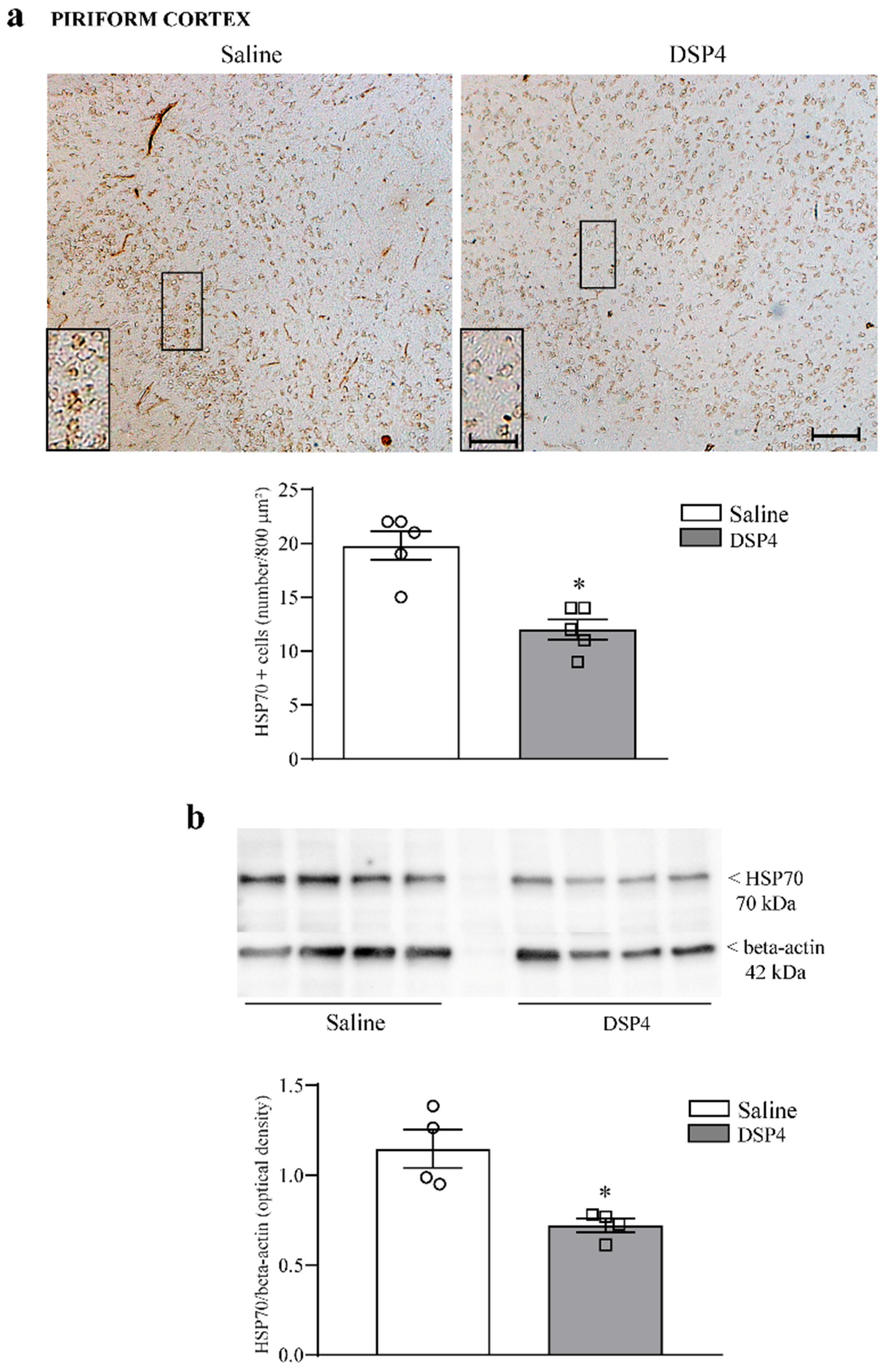 Ijms 25 03159 g004 Ijms 25 03159 g004