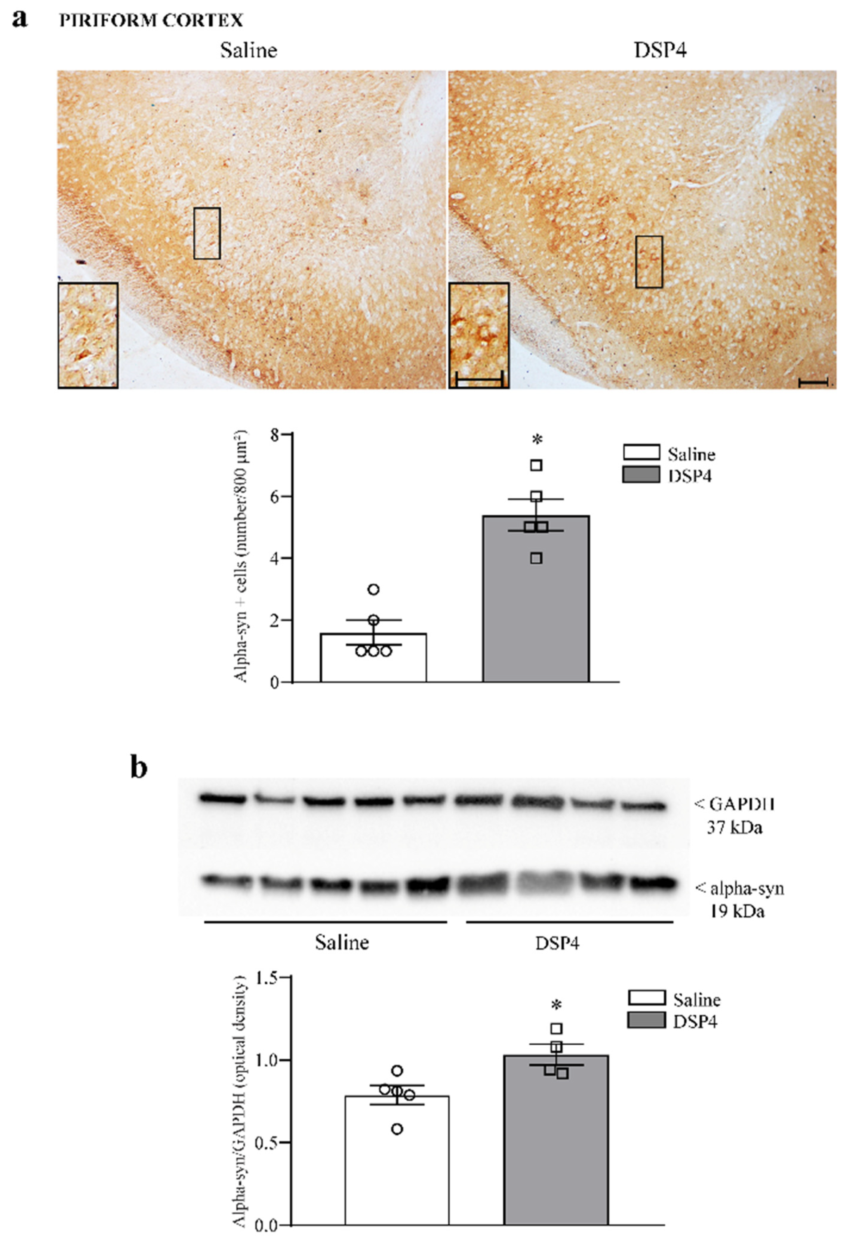 Ijms 25 03159 g007 Ijms 25 03159 g007