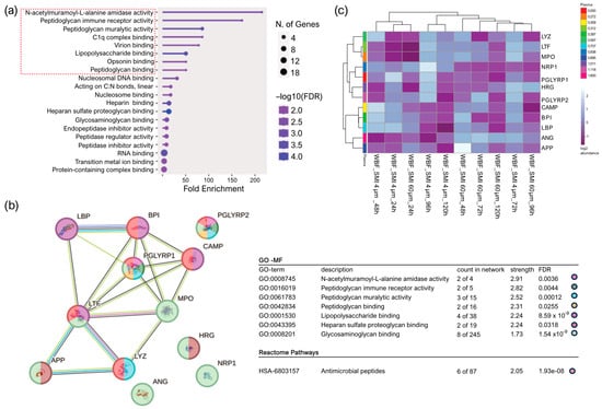 The Genealogical World of Phylogenetic Networks: False reports of US  women's breast sizes