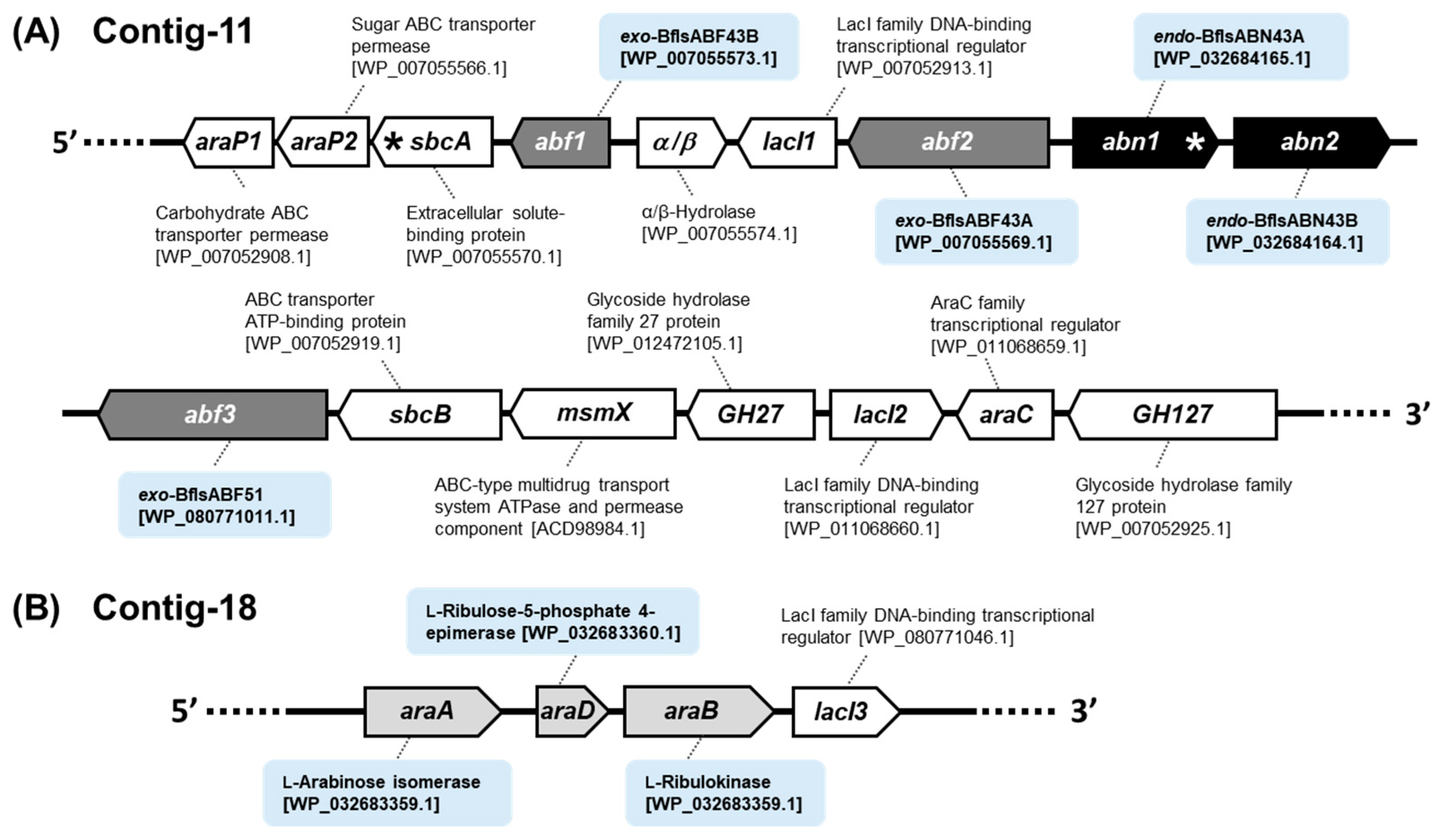 Ijms 25 03175 g001 Ijms 25 03175 g001