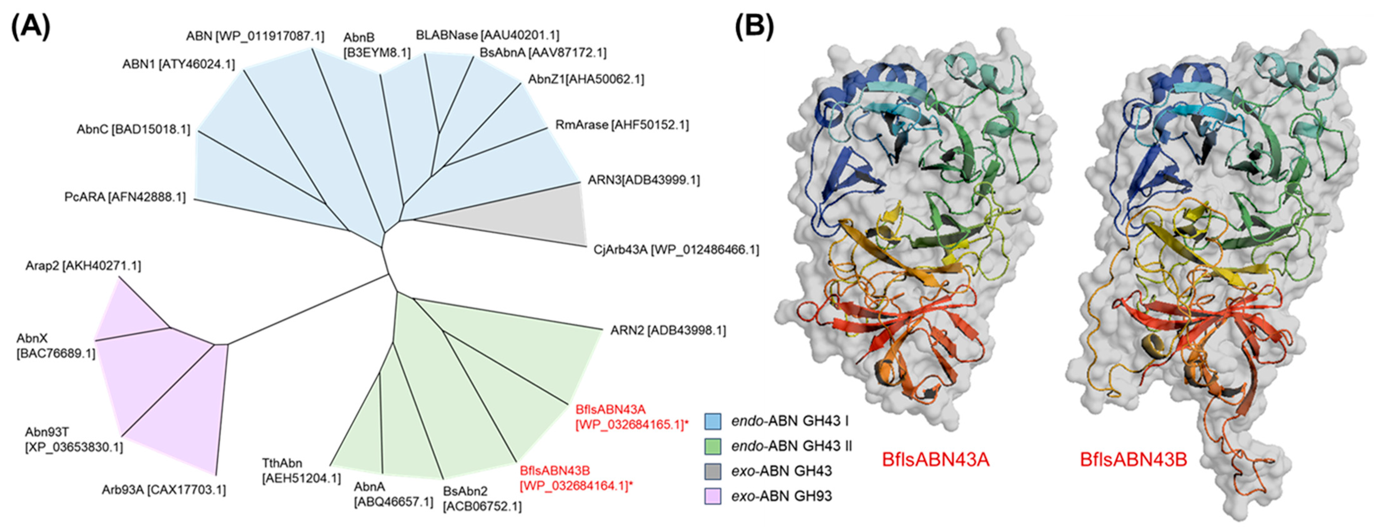 Ijms 25 03175 g002 Ijms 25 03175 g002